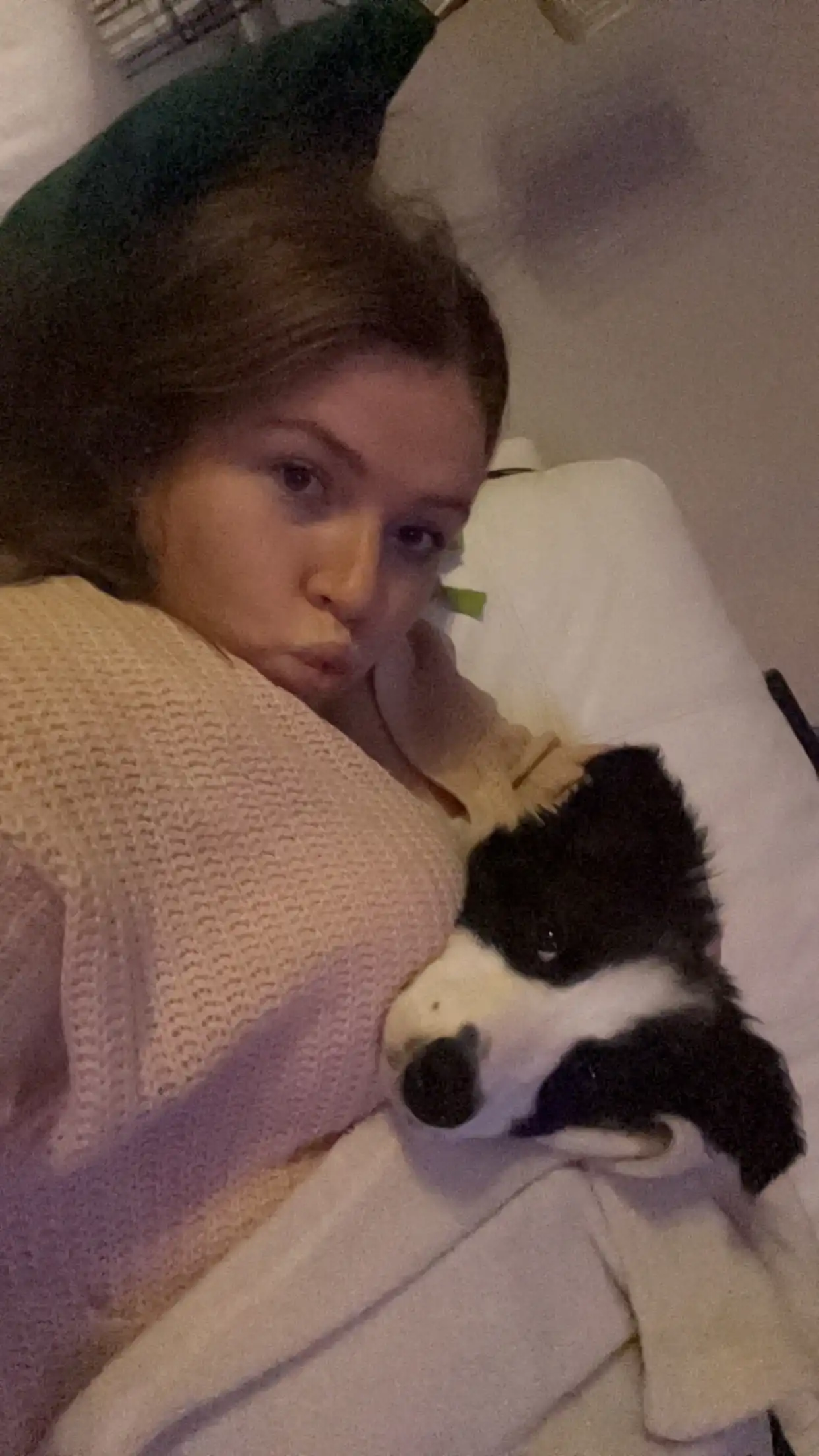 image-8