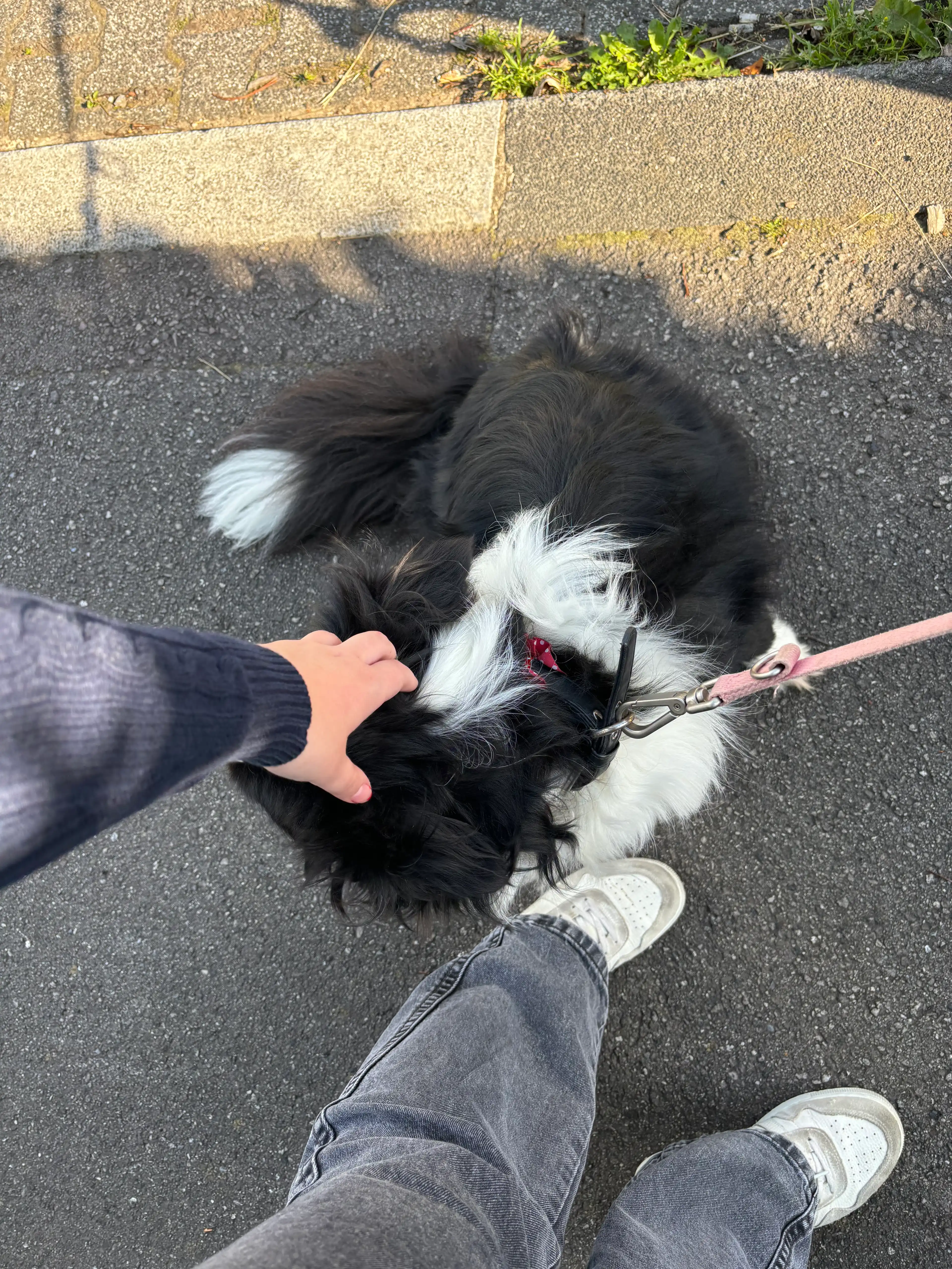 image-6