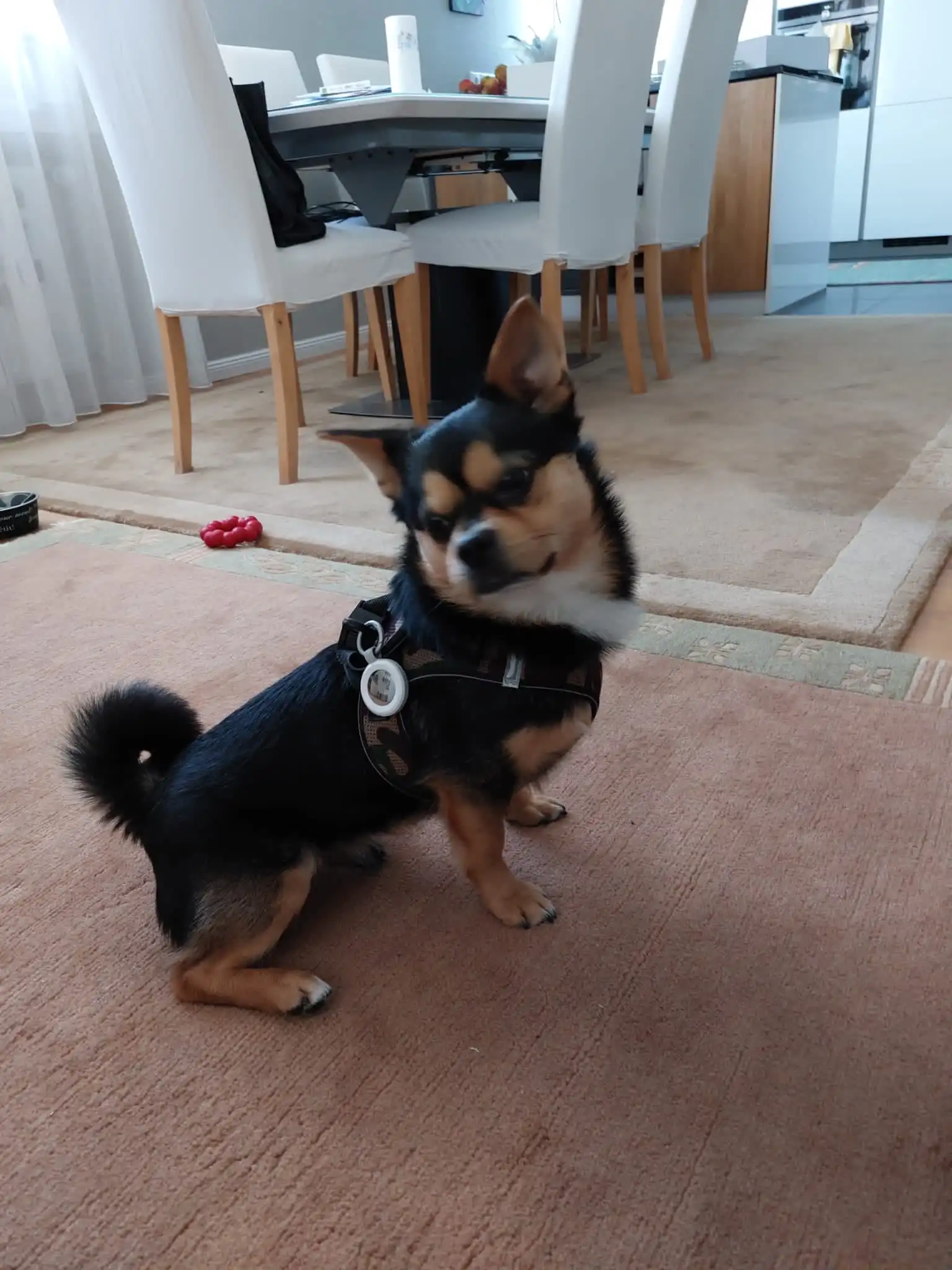 image-9