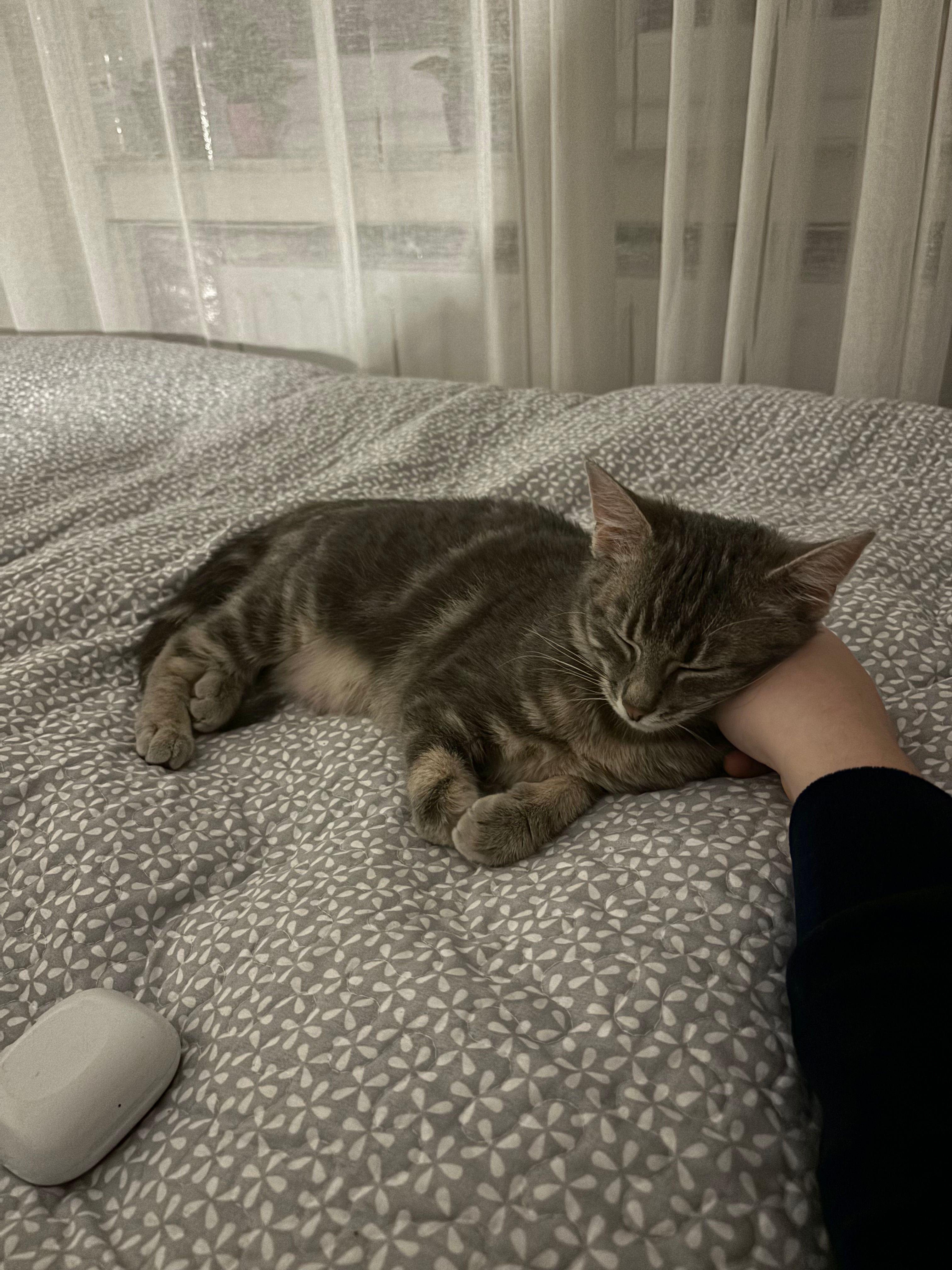 image-8