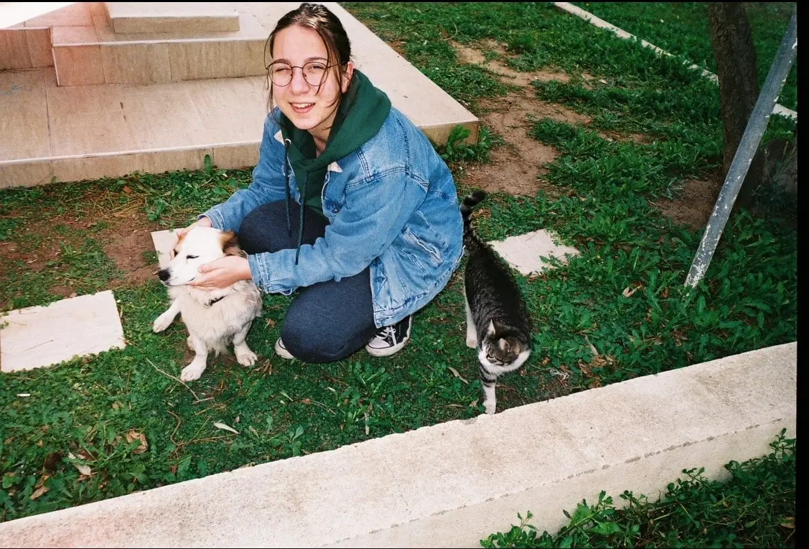 image-2