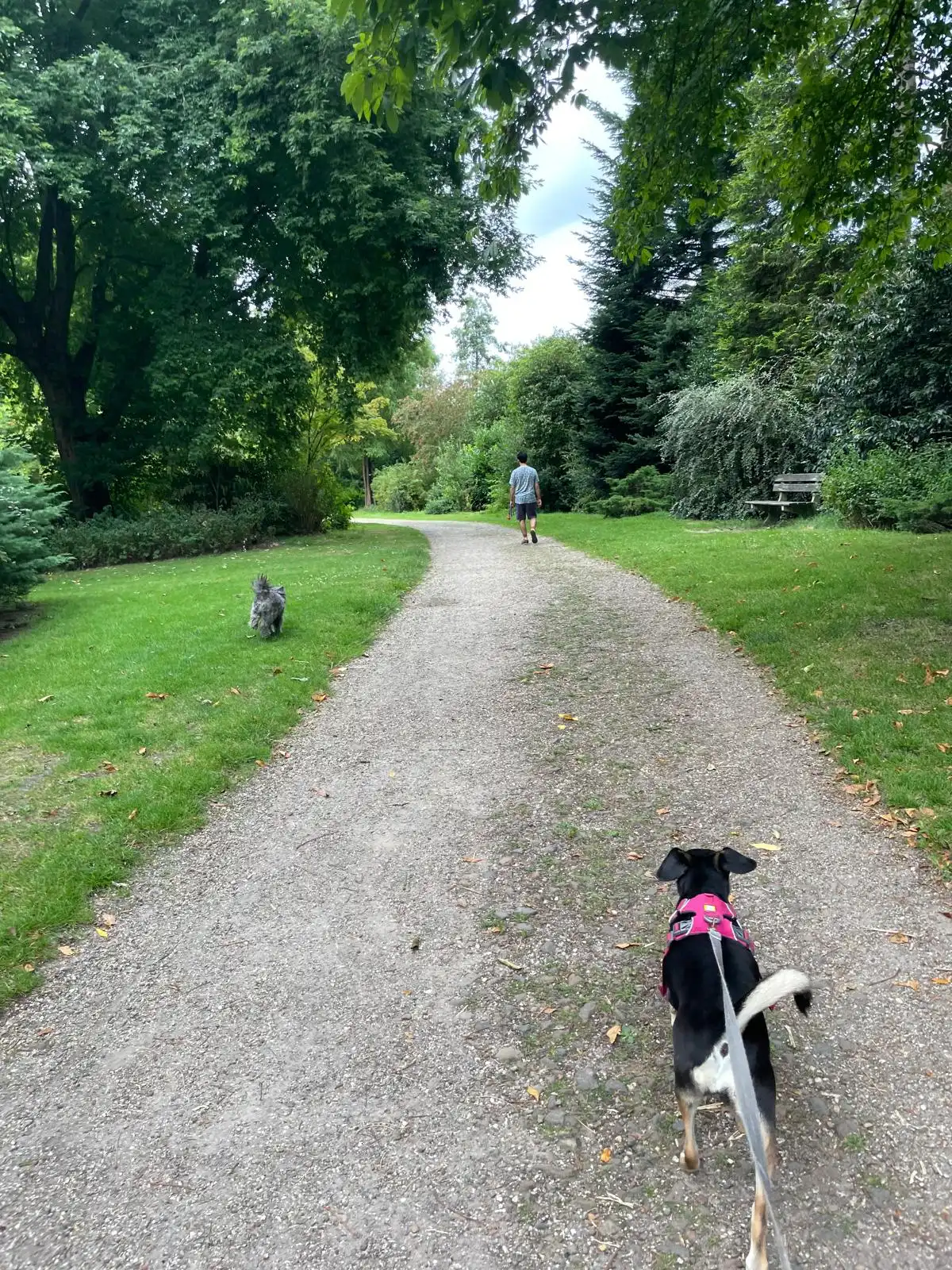 image-18