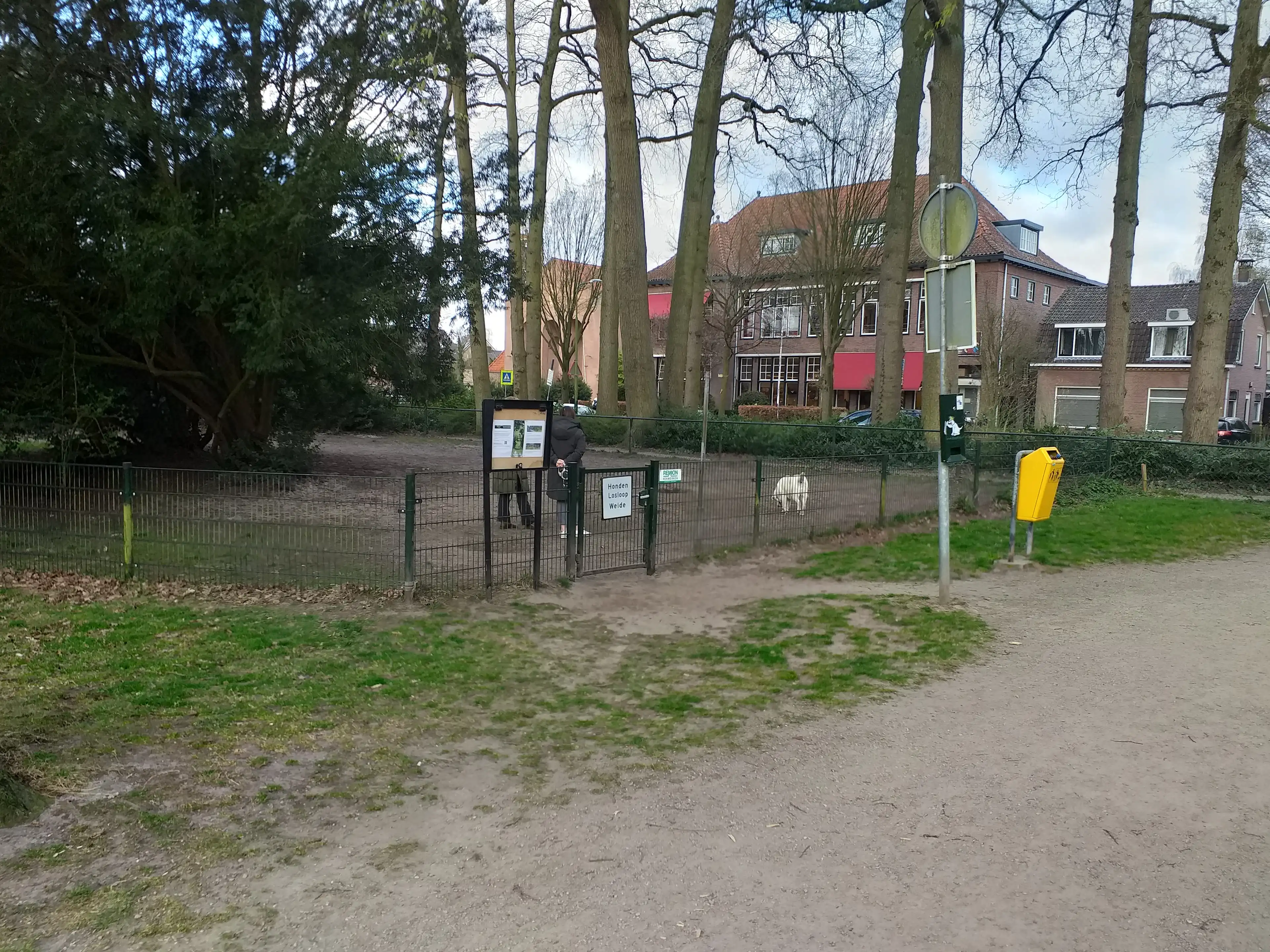 image-25