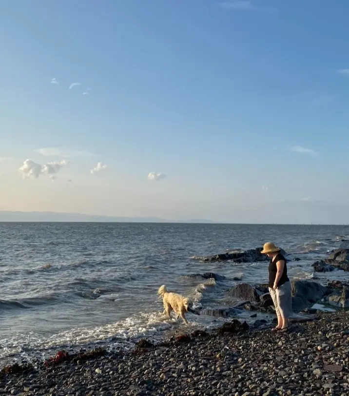 image-1