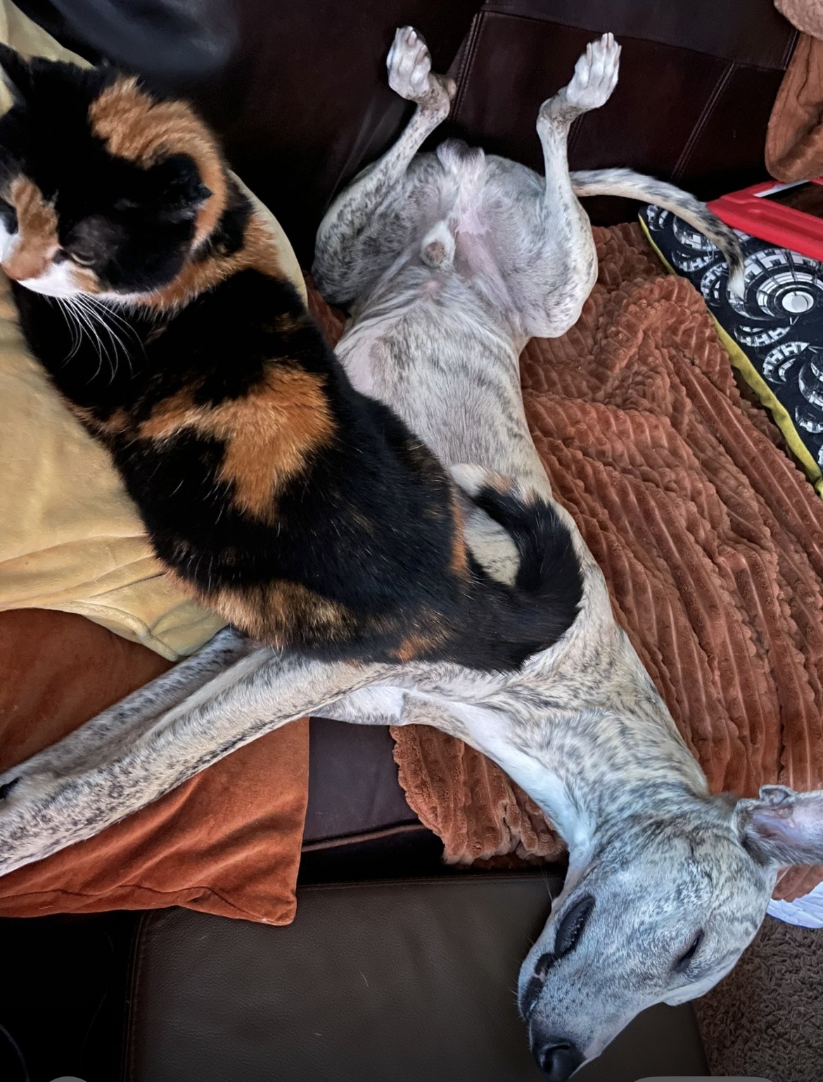 image-13