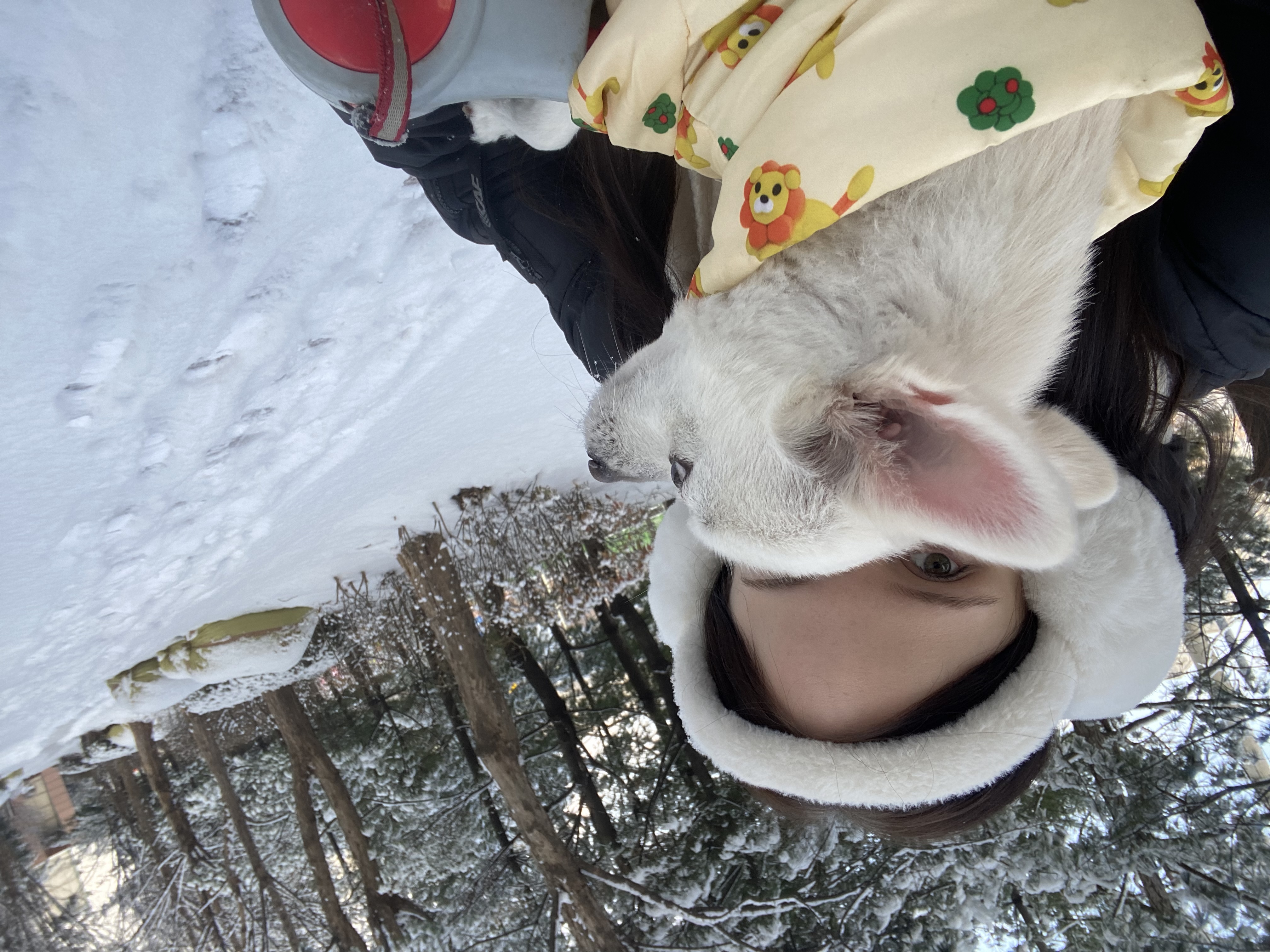 image-6