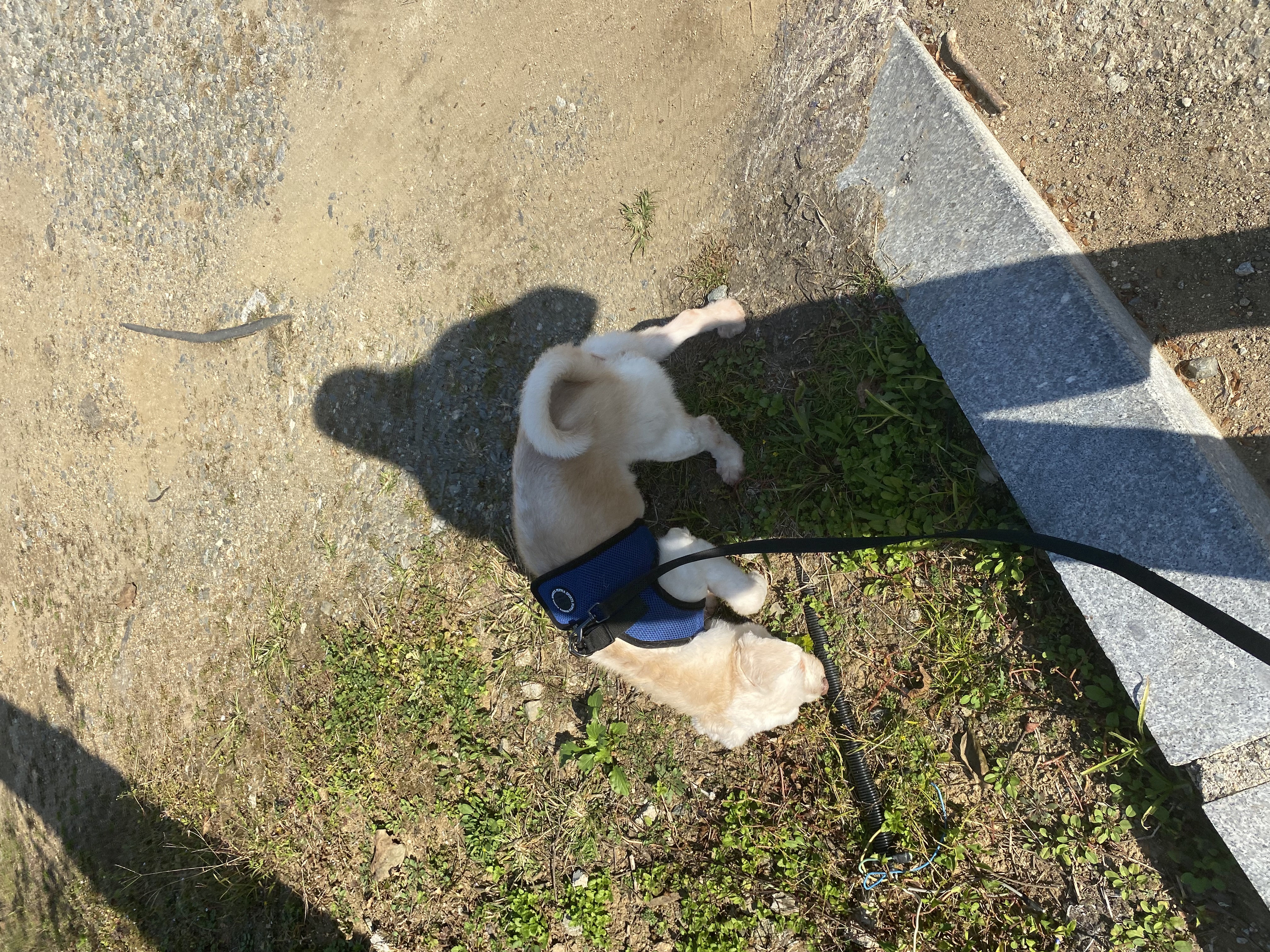 image-8