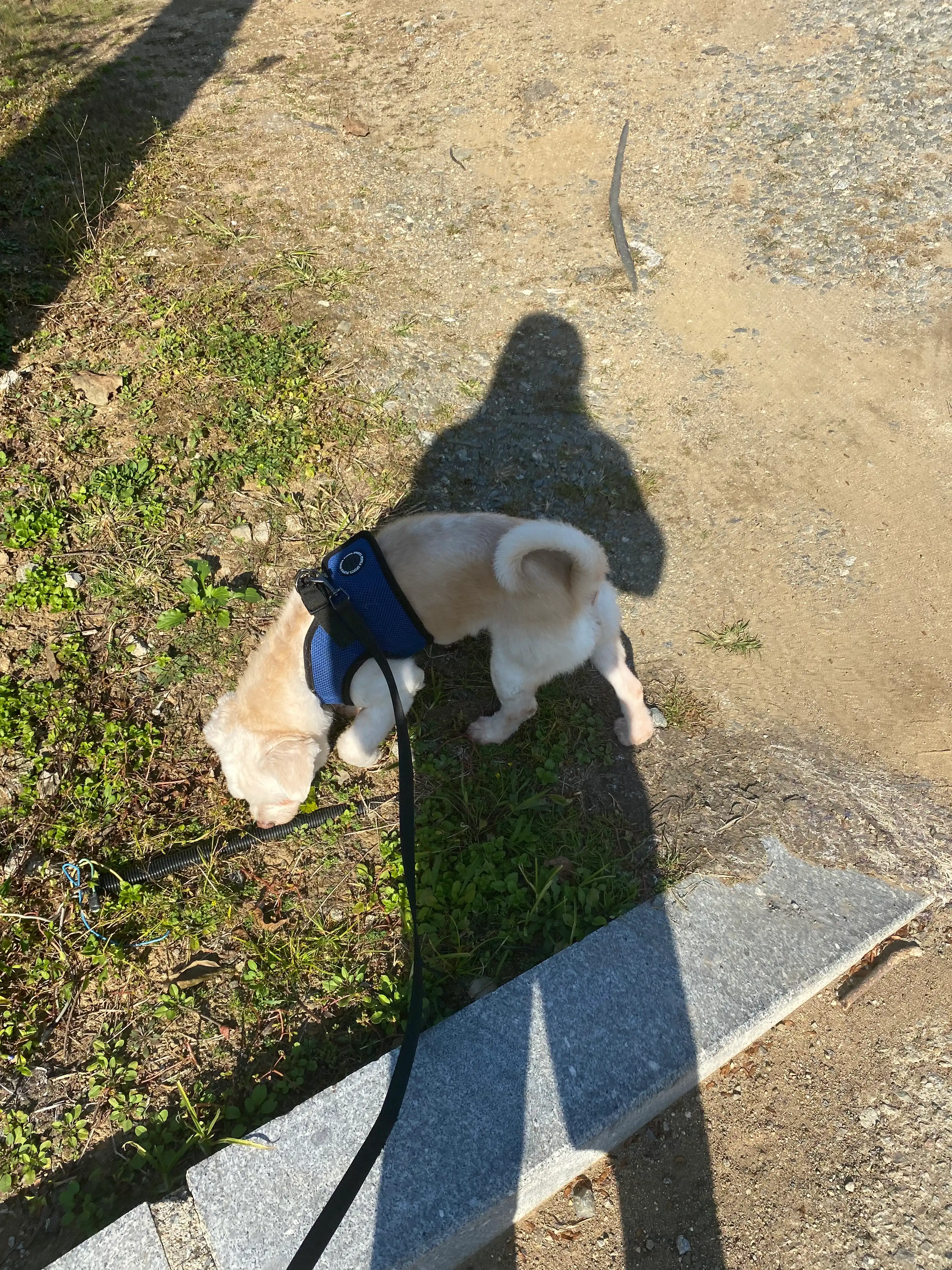image-8