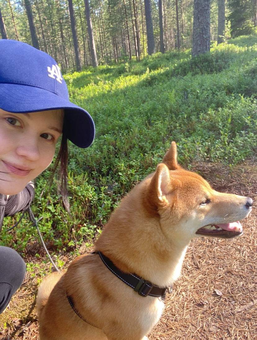 image-5