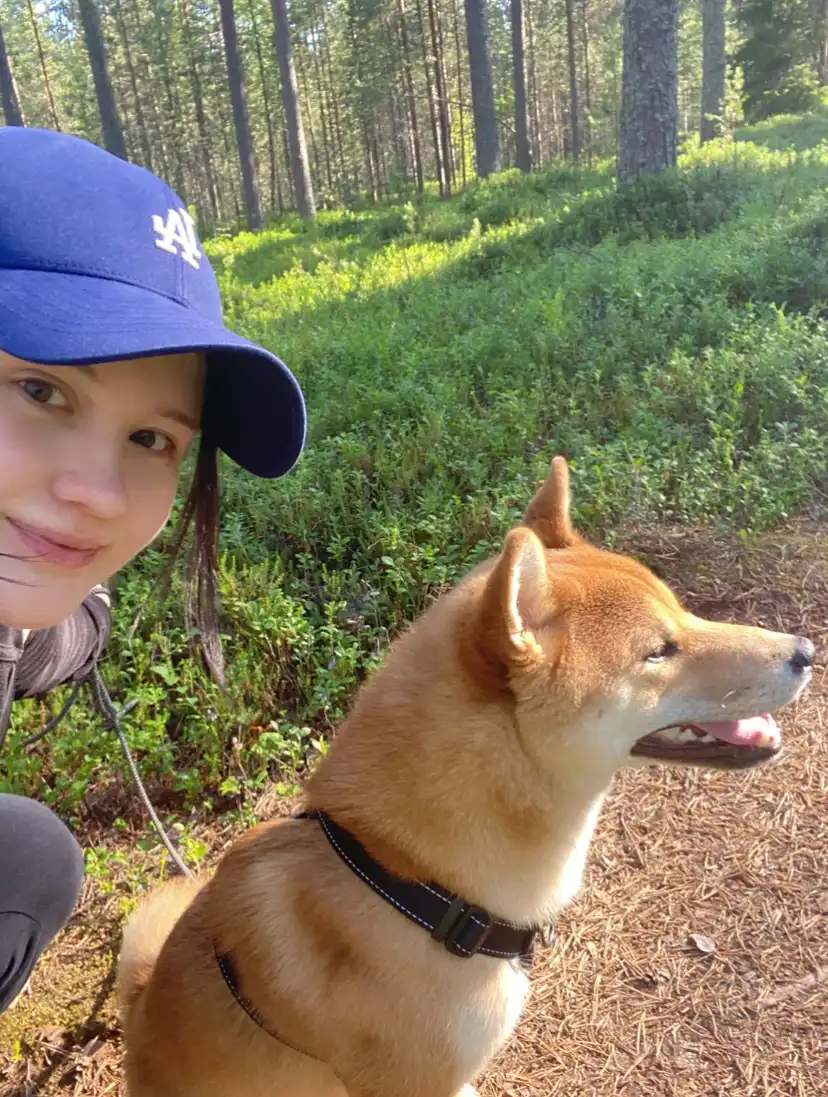 image-5
