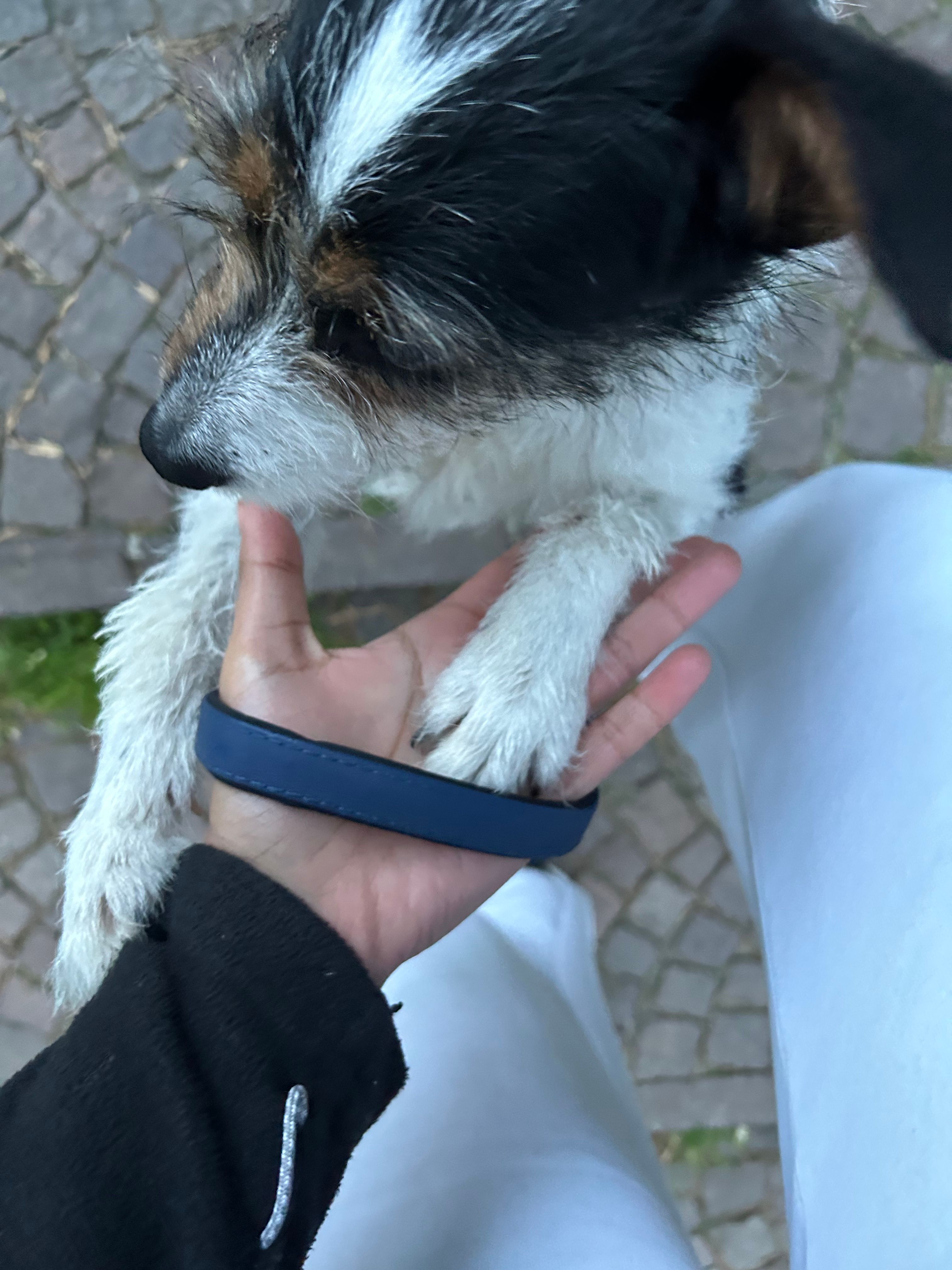 image-6