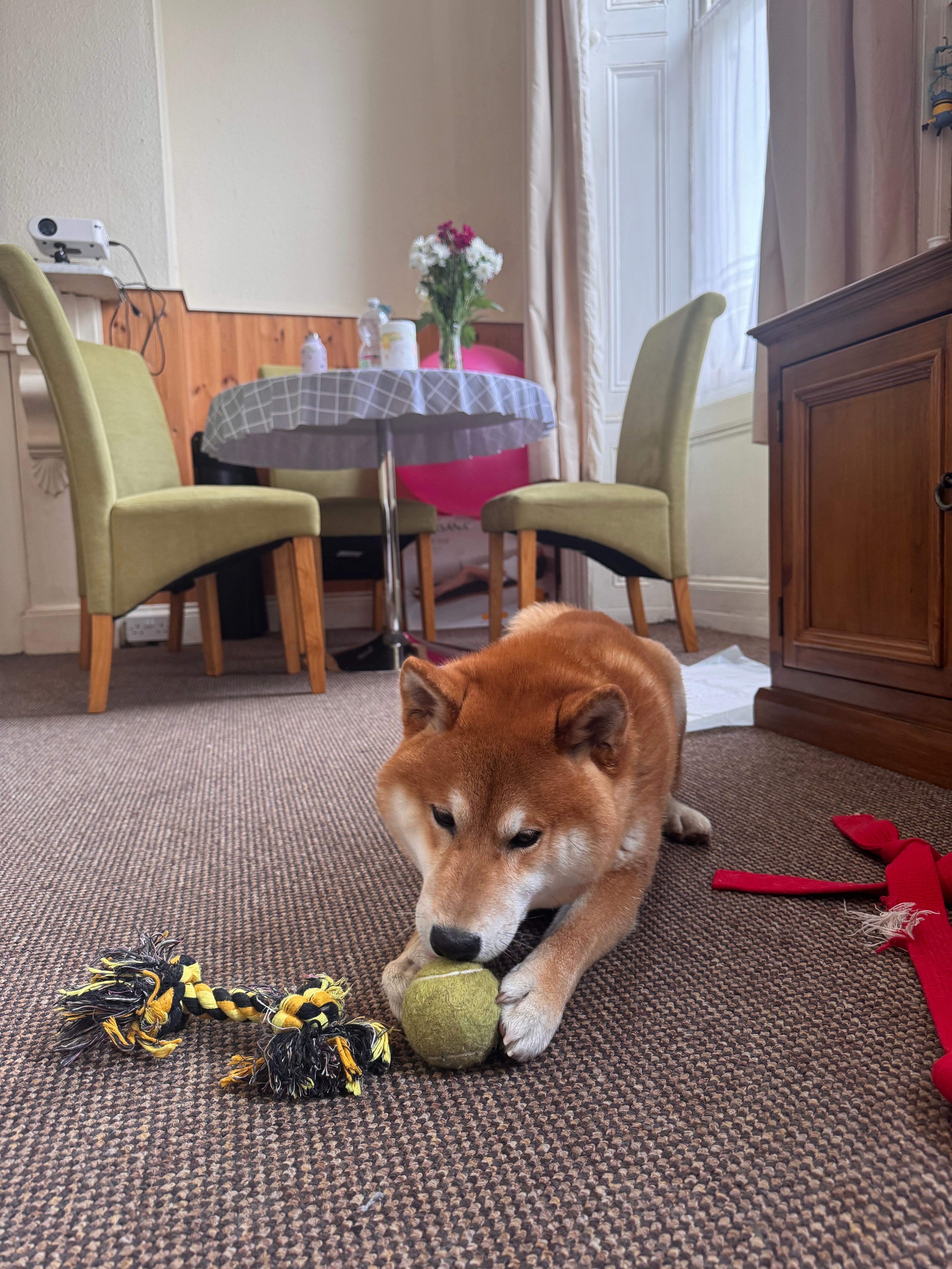 image-16