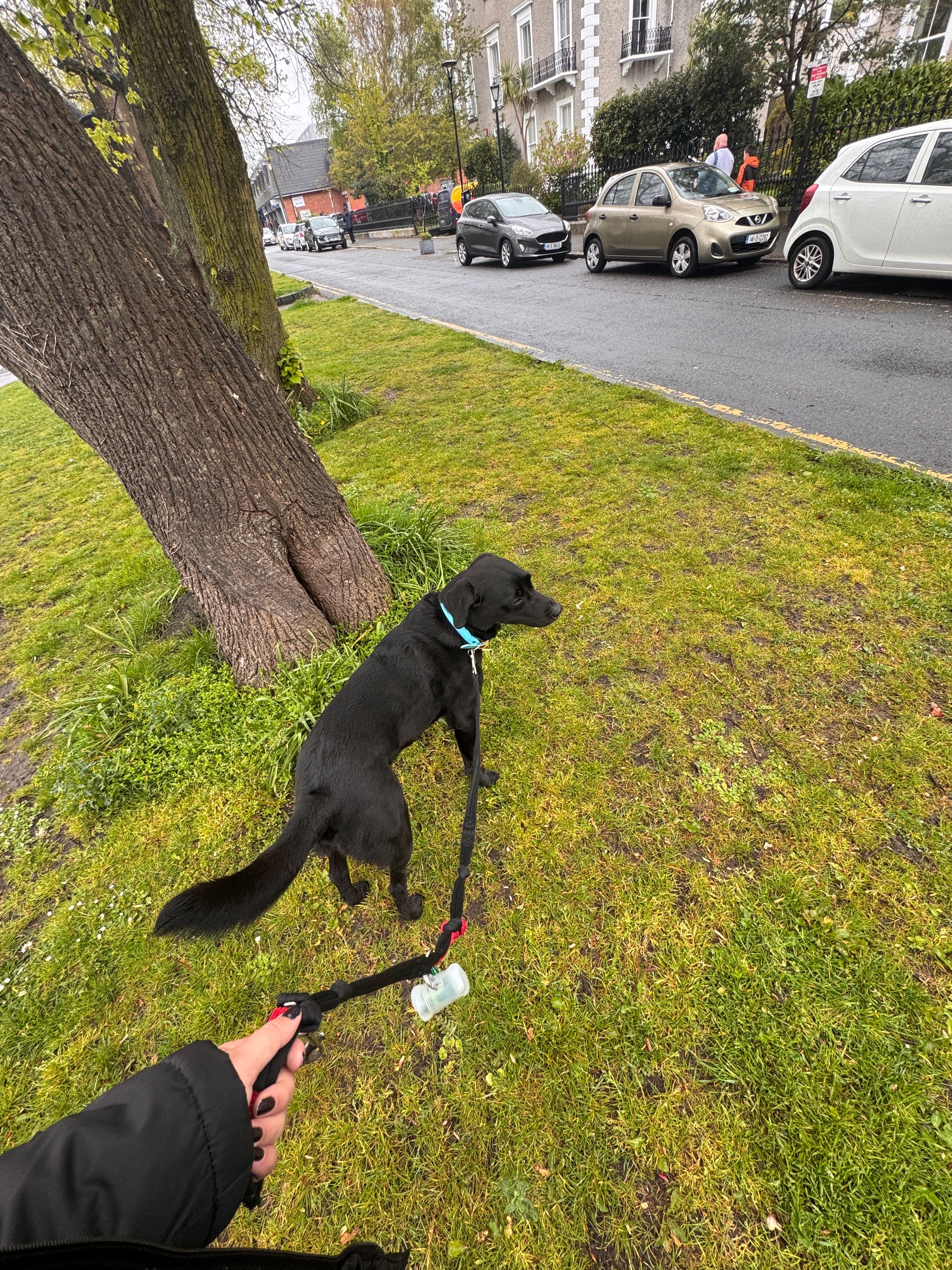 image-17
