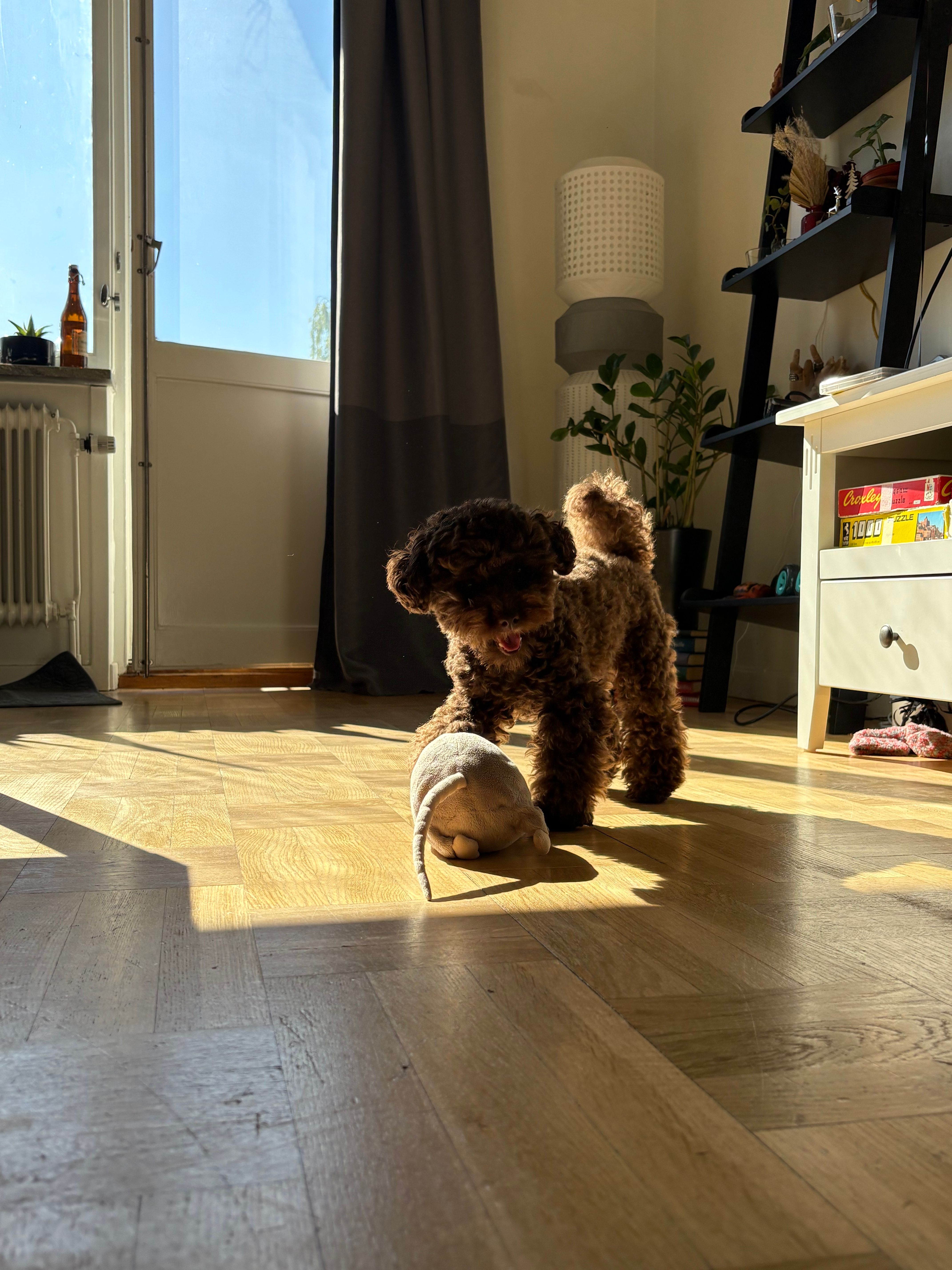 image-15