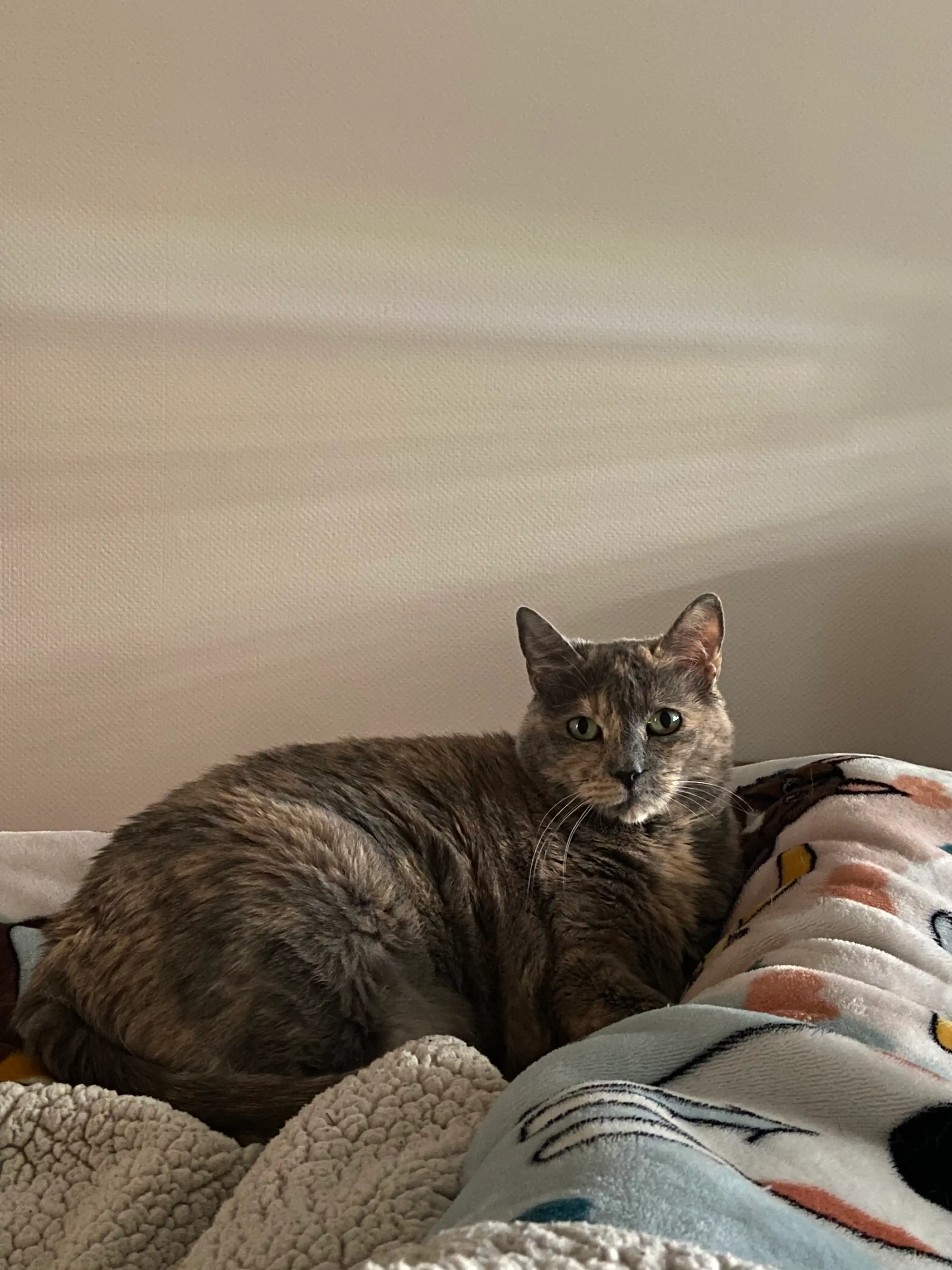 image-6