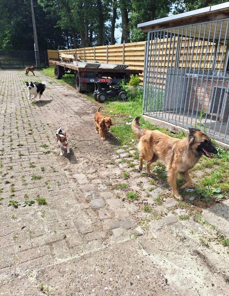 image-31