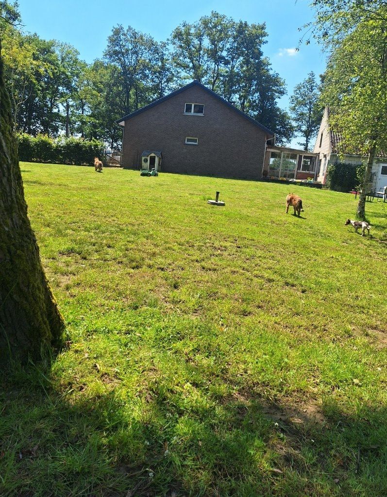 image-21
