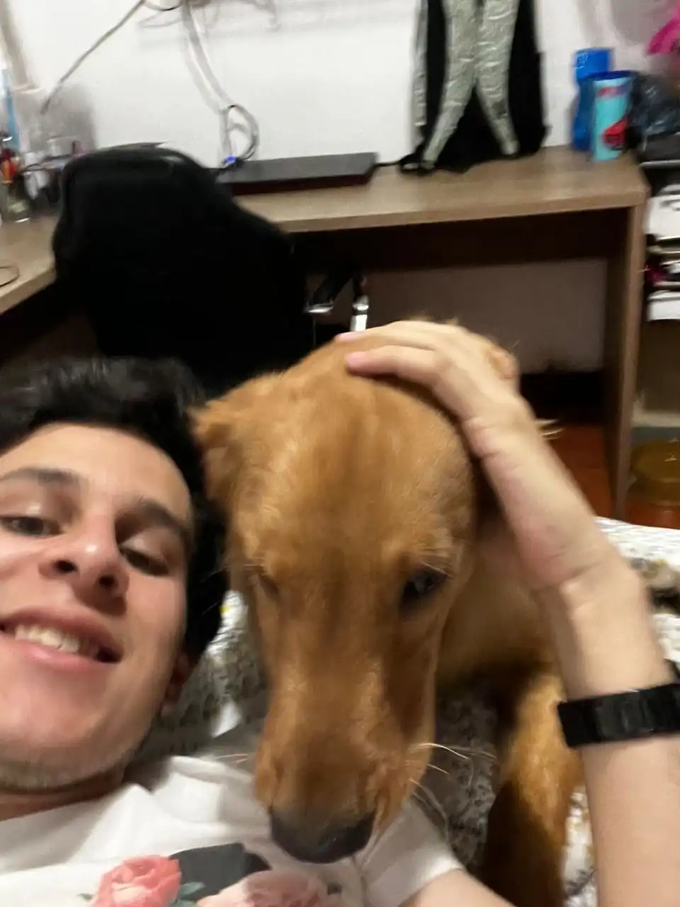 image-6