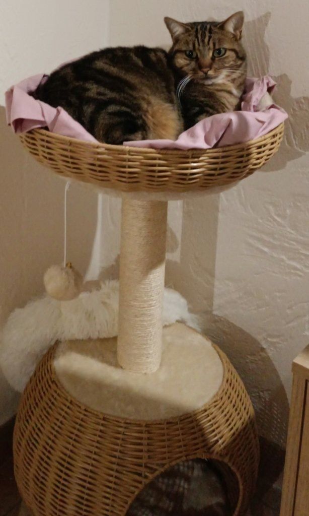 image-10