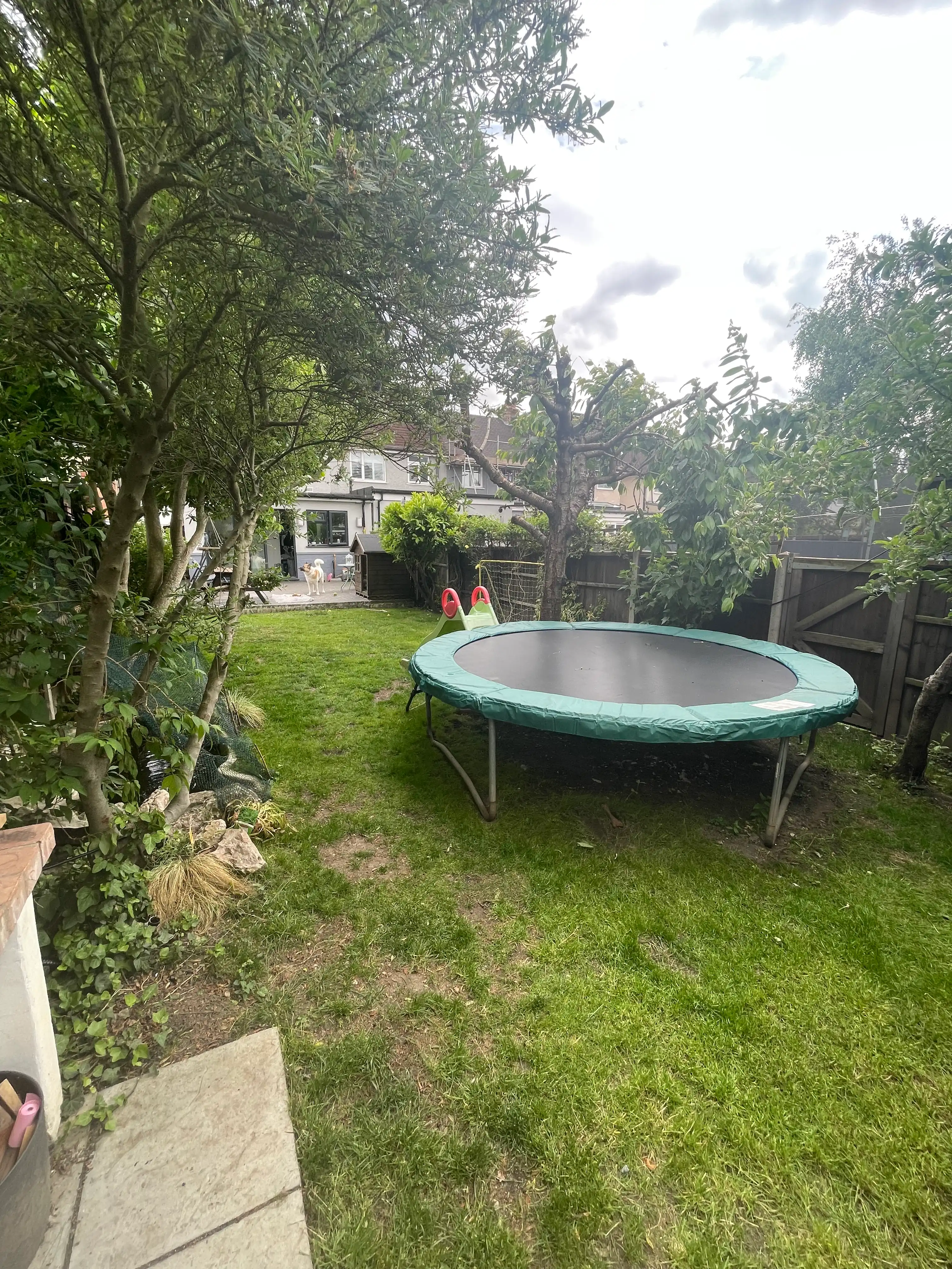 image-16