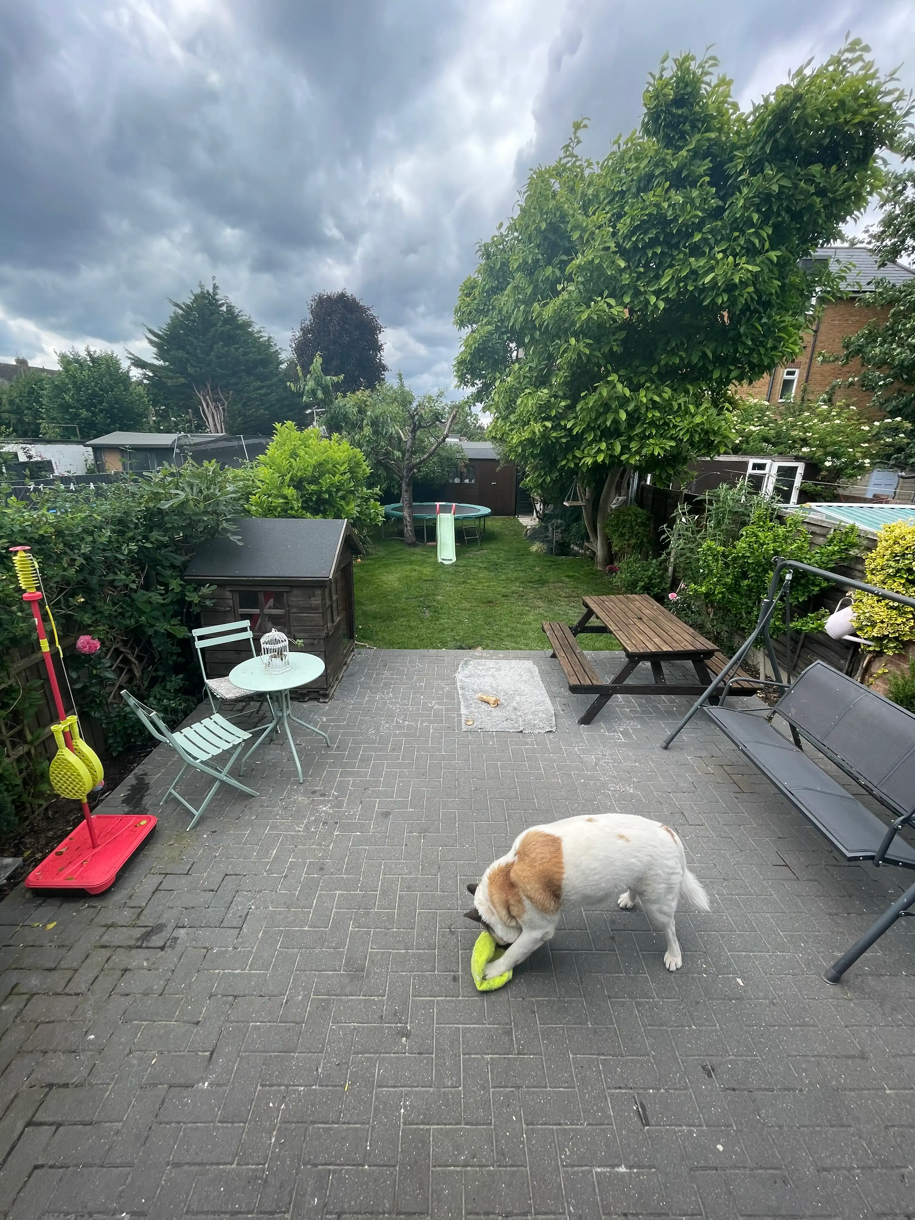 image-18
