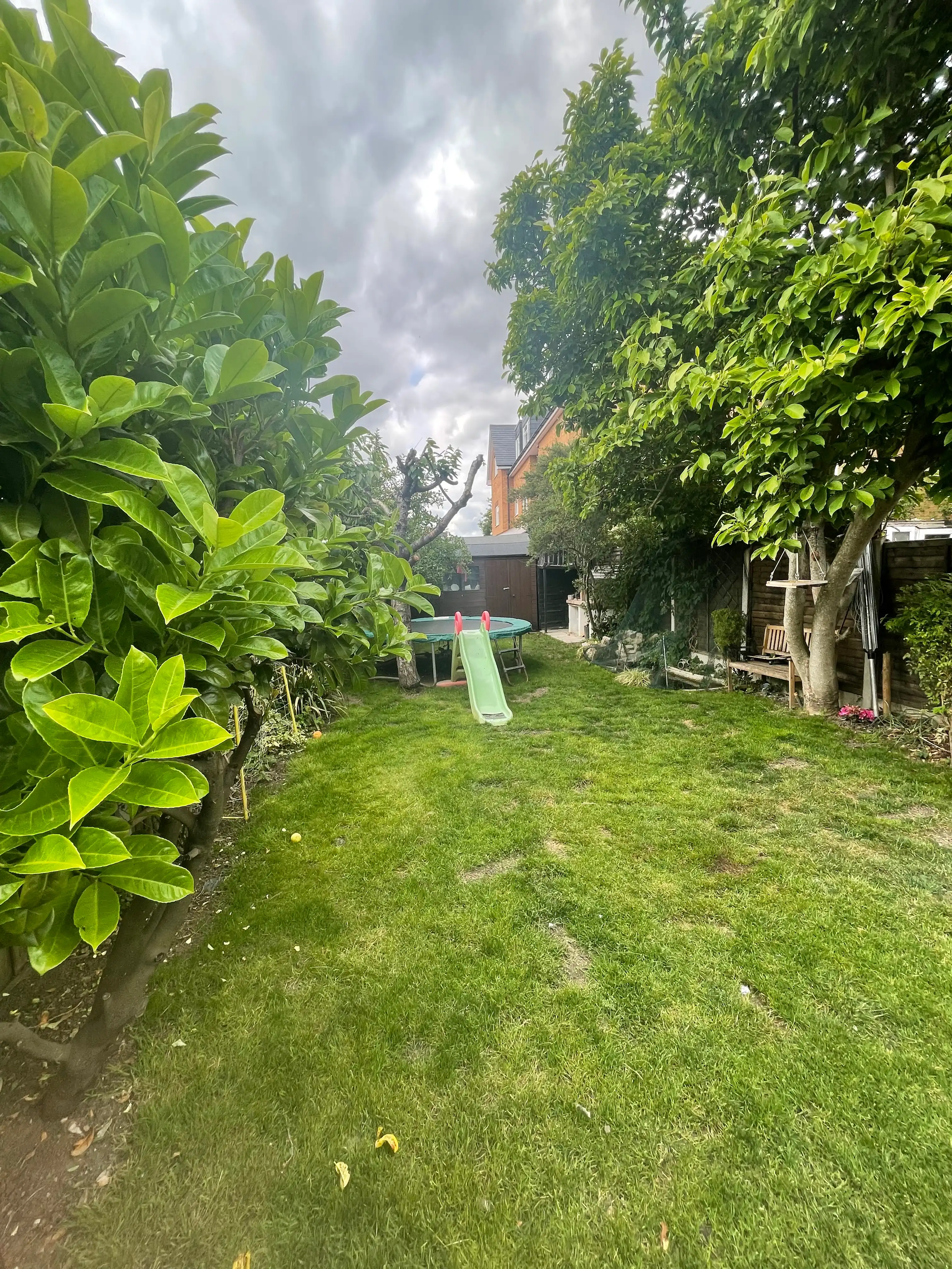 image-13