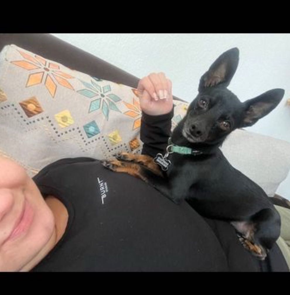 image-7