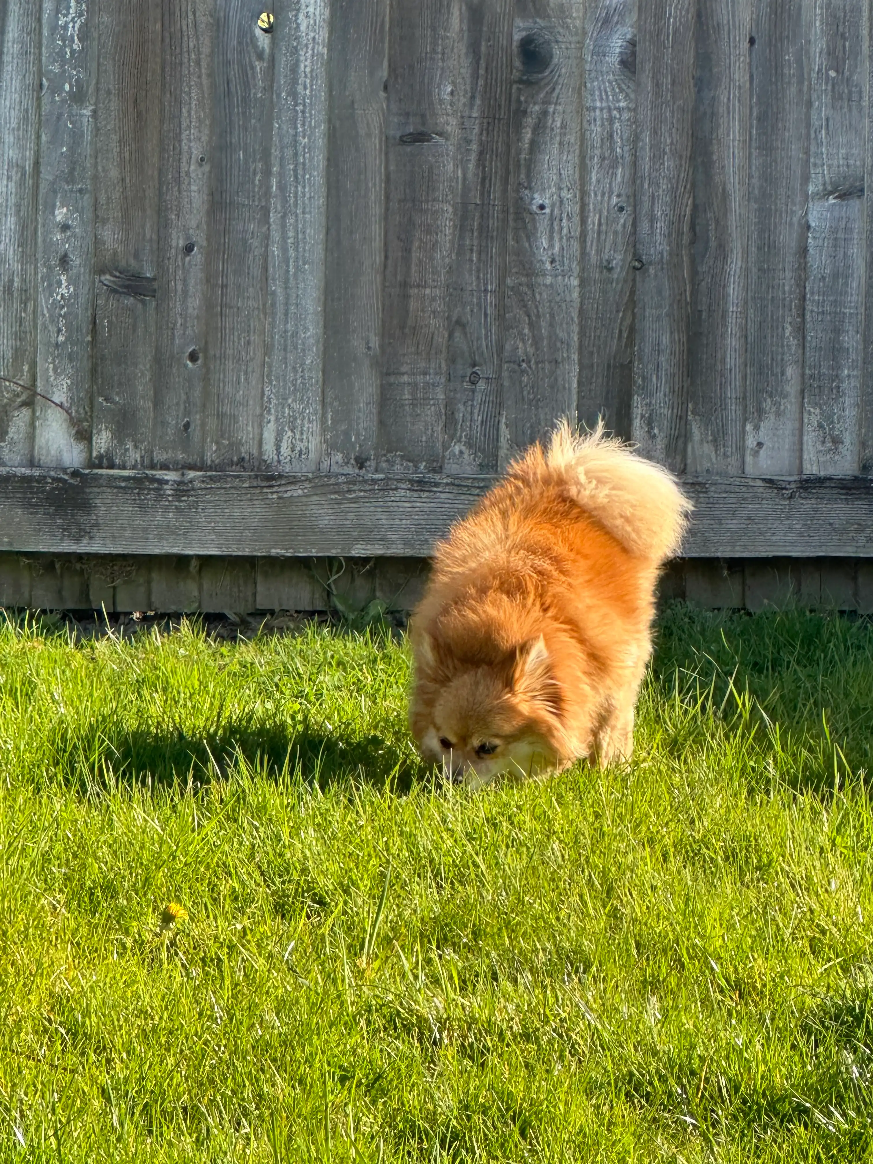 image-15