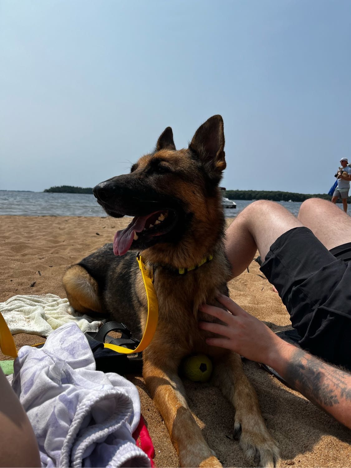 image-8