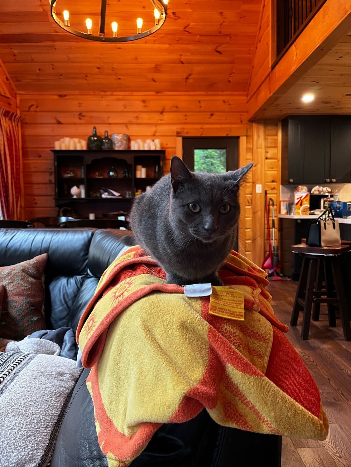 image-9