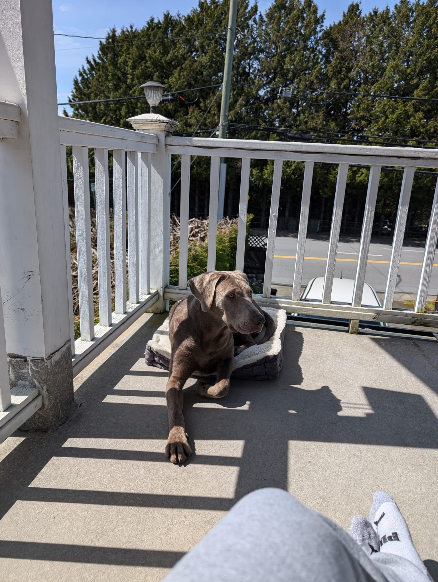 image-7