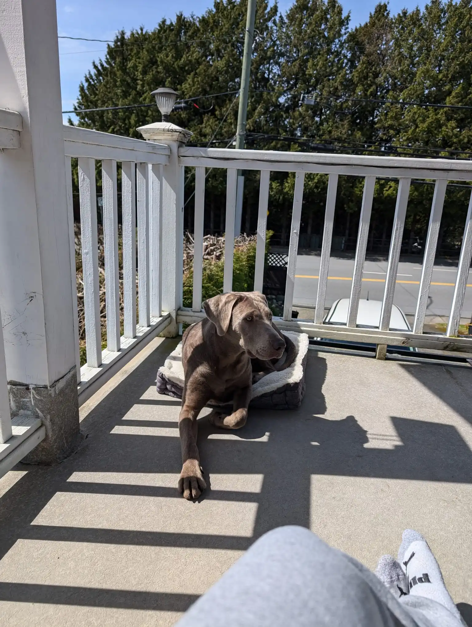 image-7