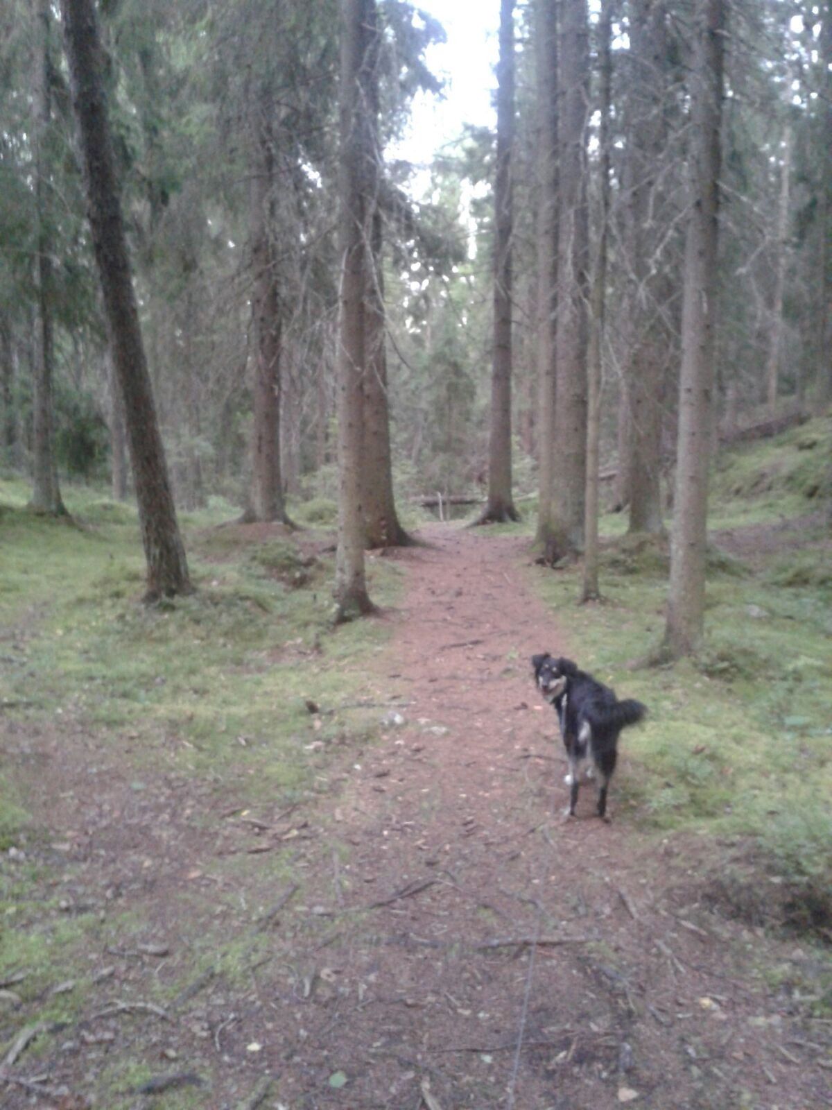 image-6