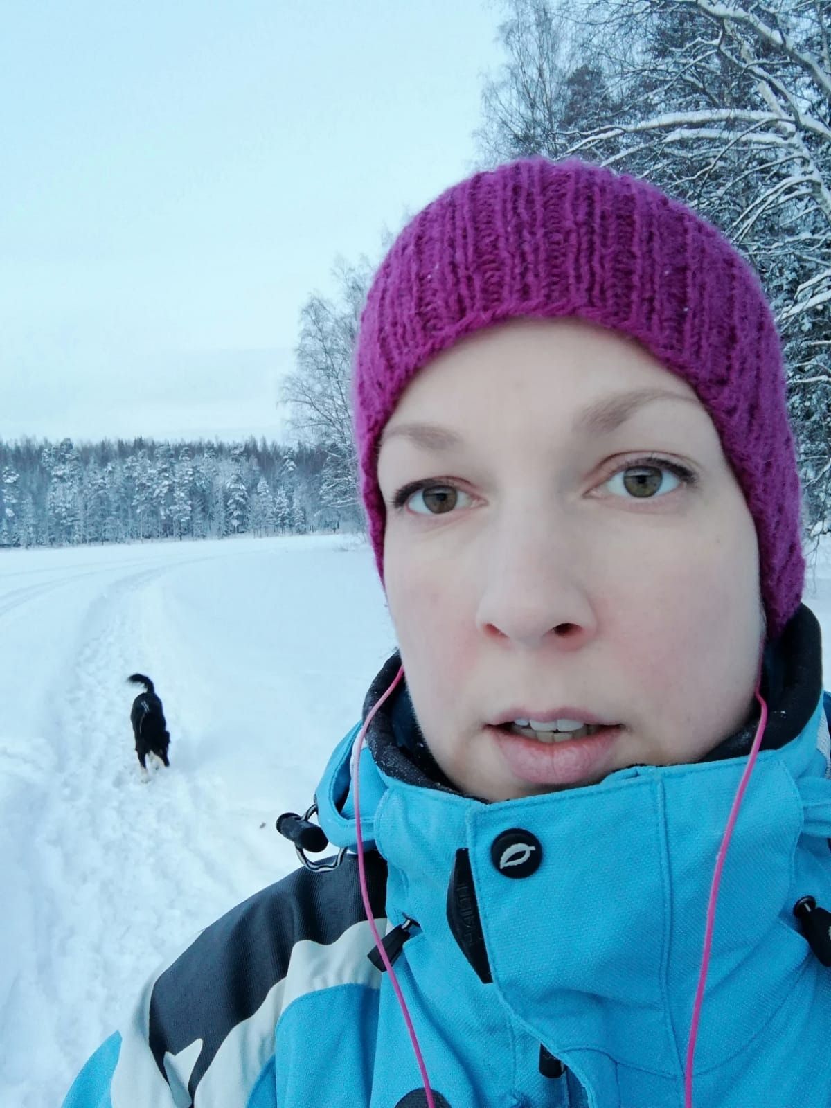 image-5