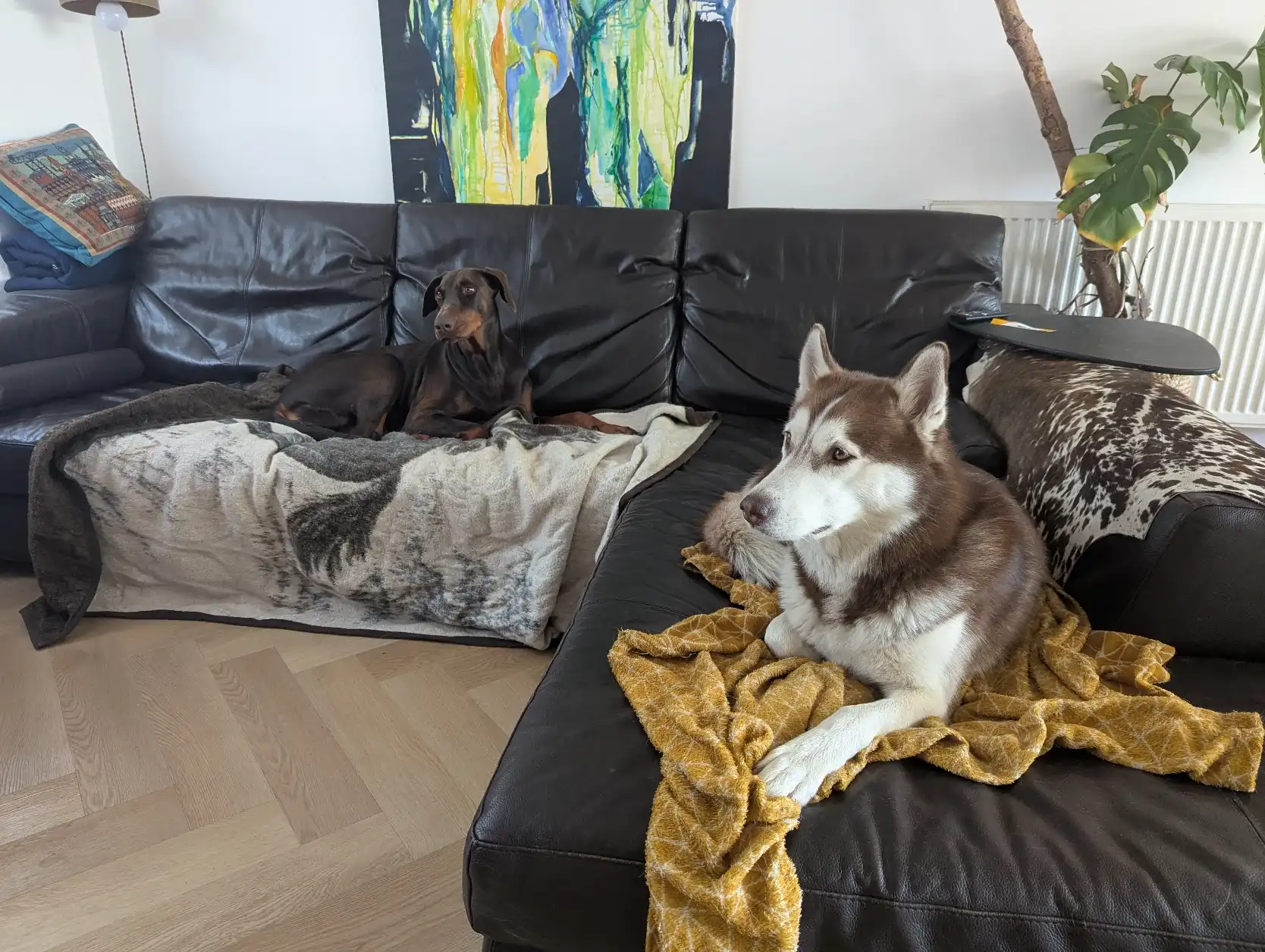 image-10