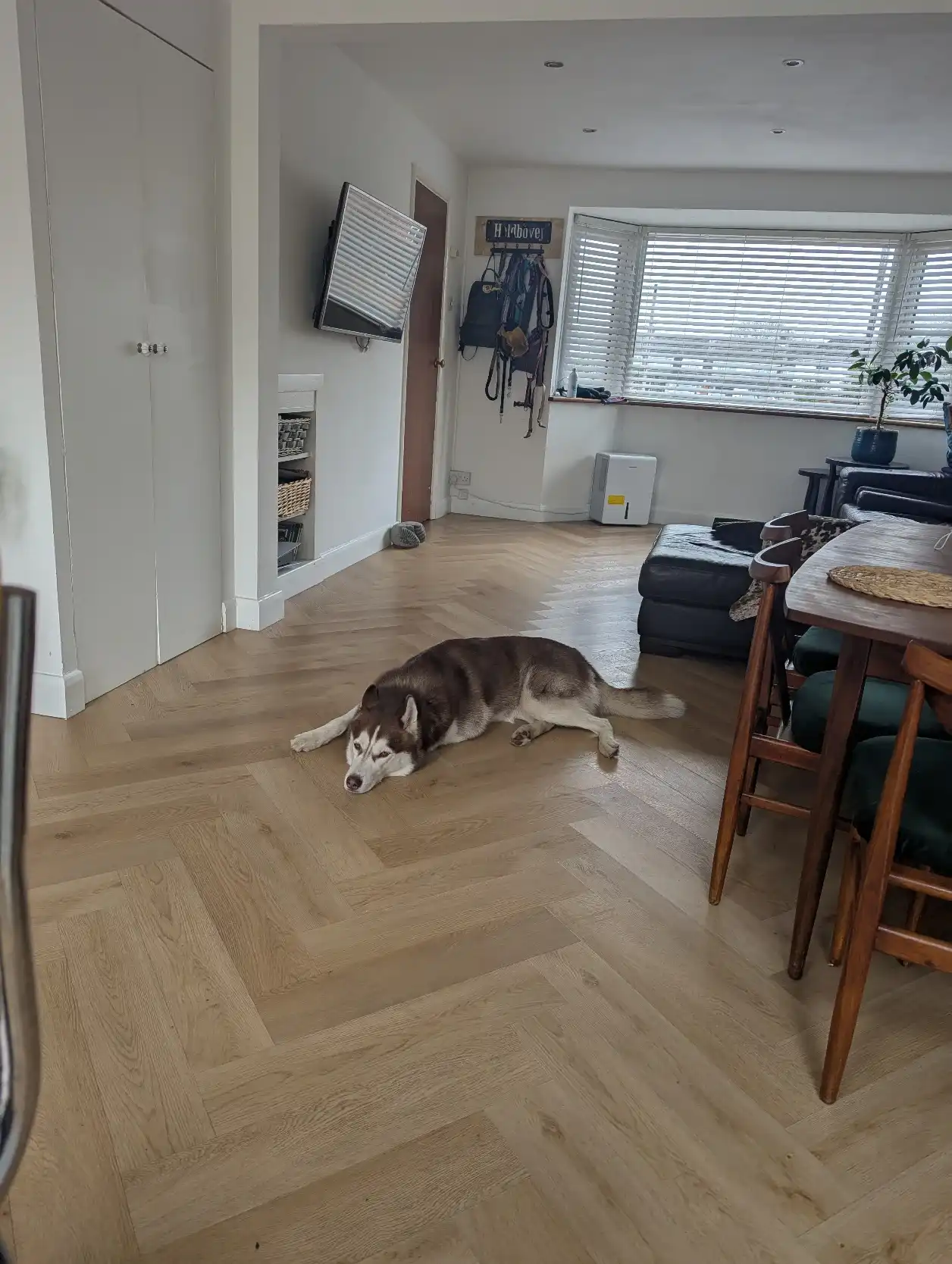 image-13