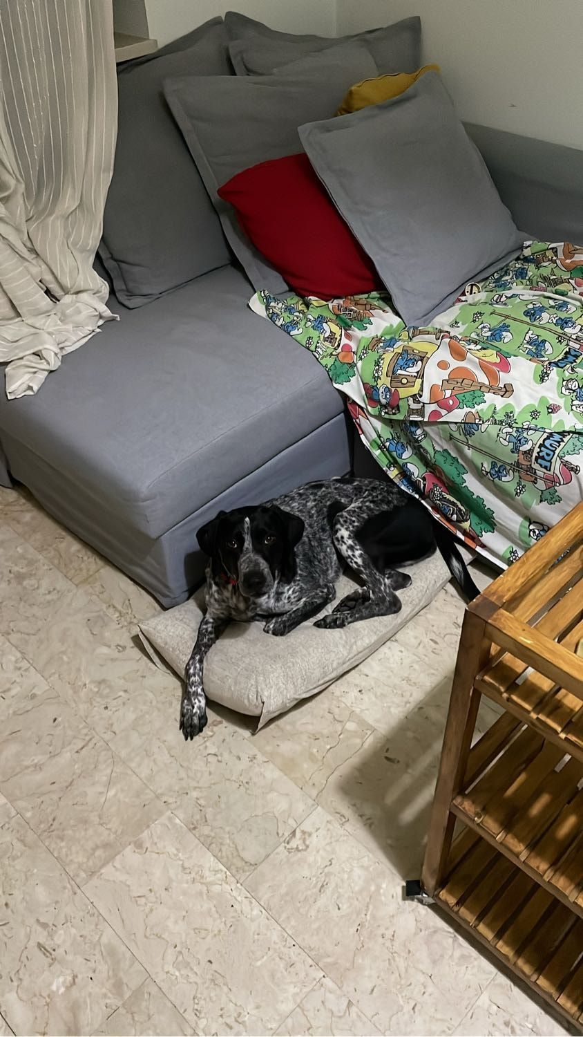 image-10