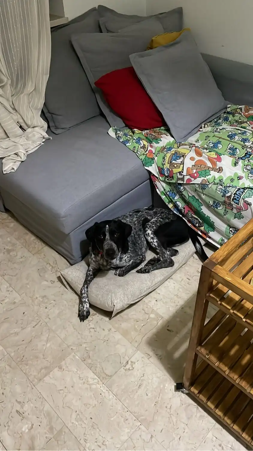 image-10