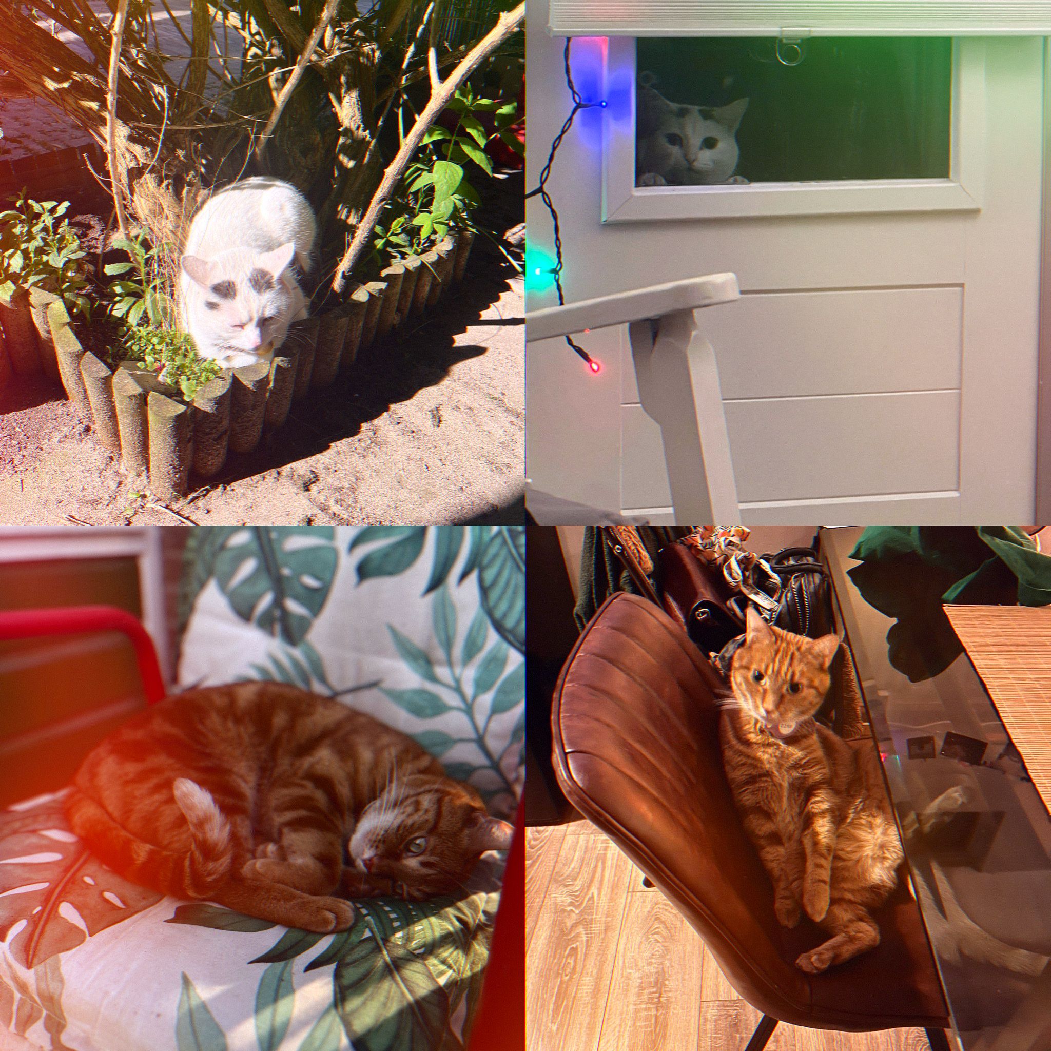 image-5