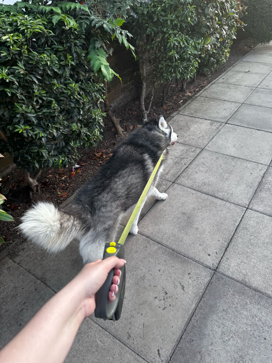 image-14