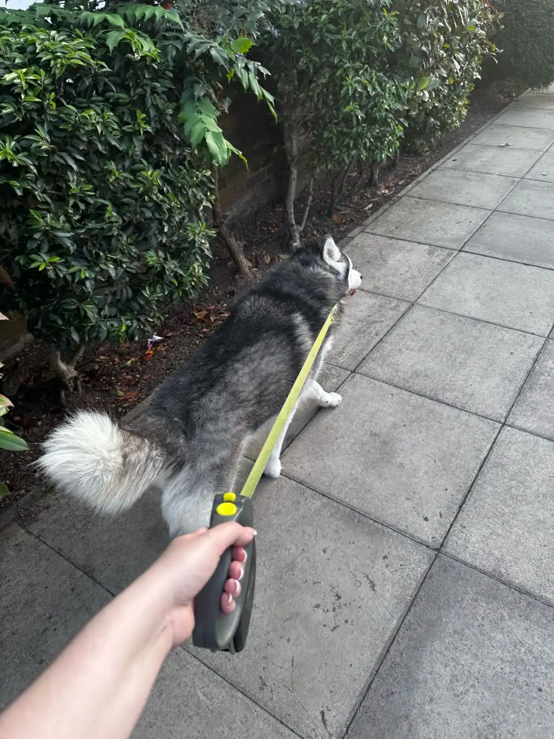 image-14