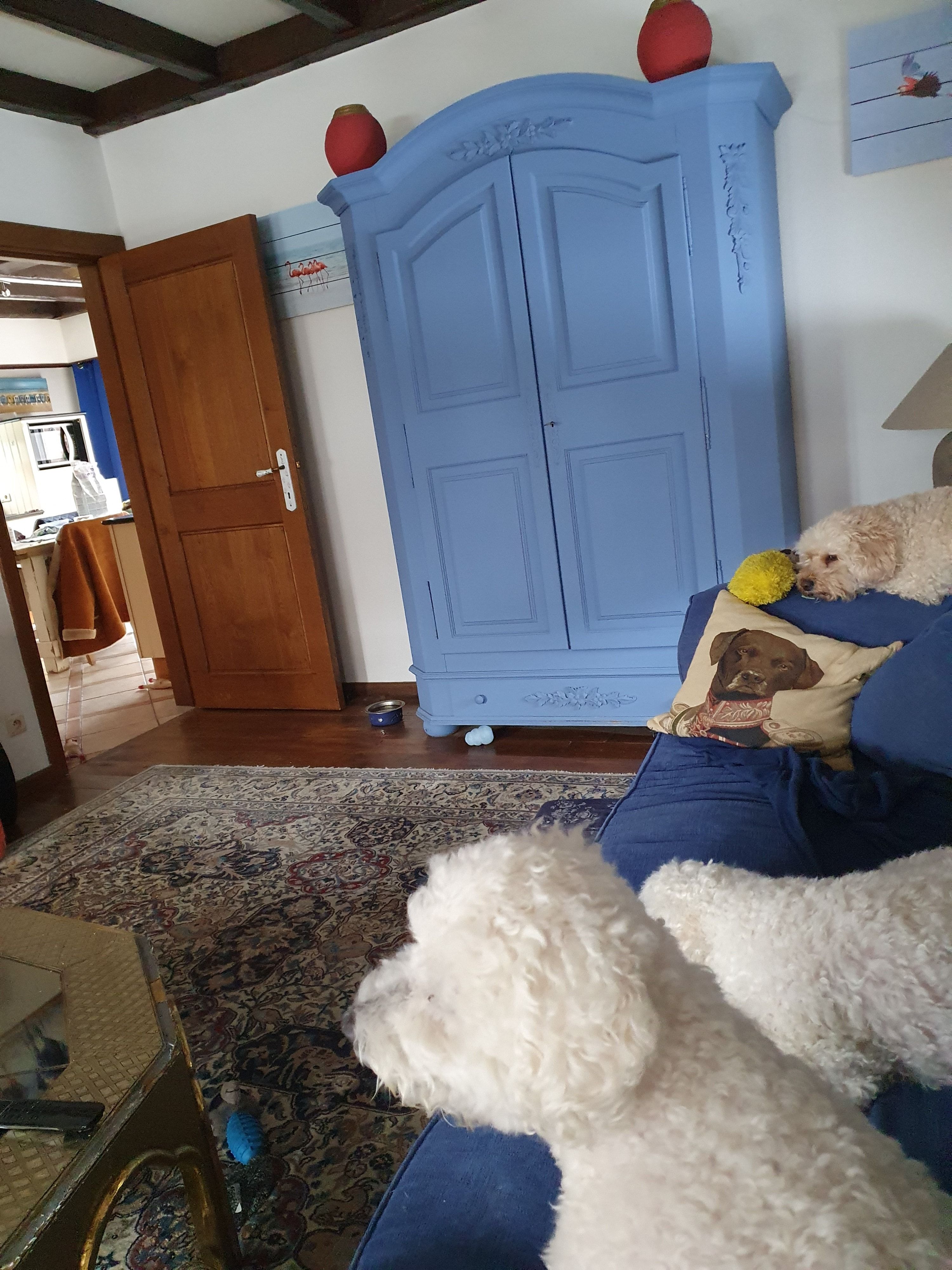 image-7