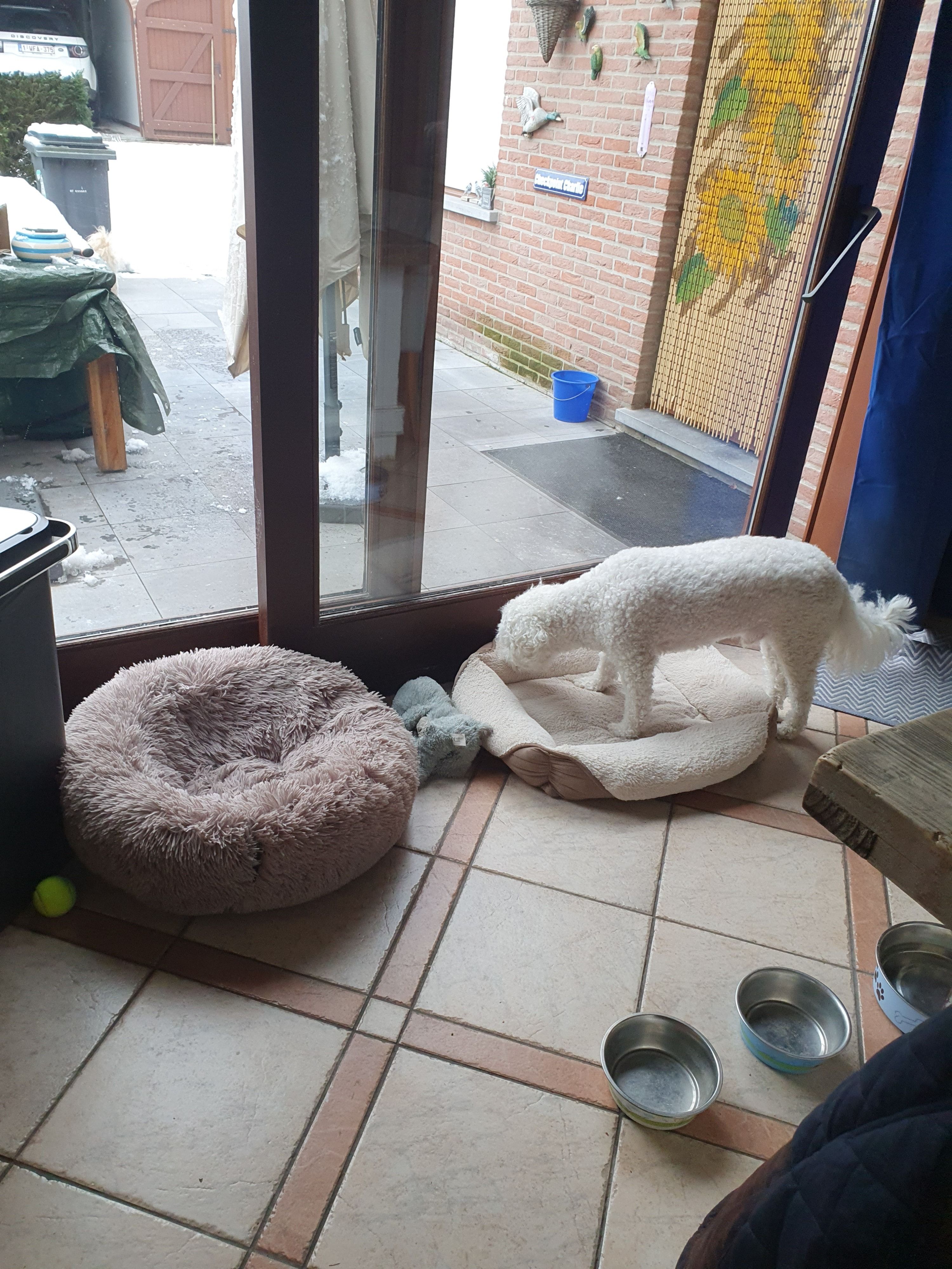 image-6