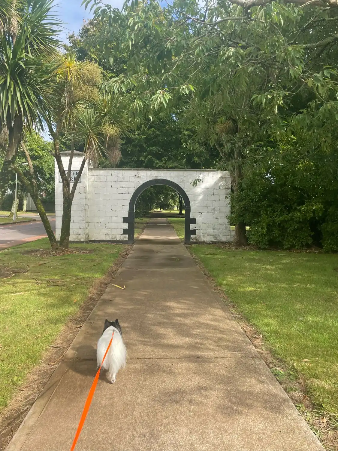 image-17