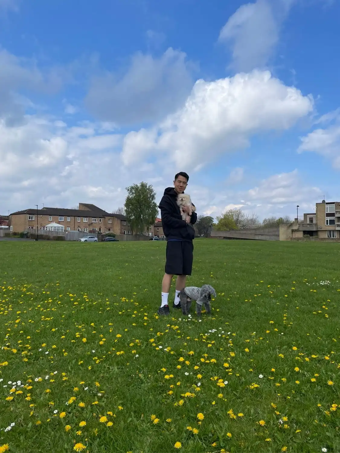 image-18