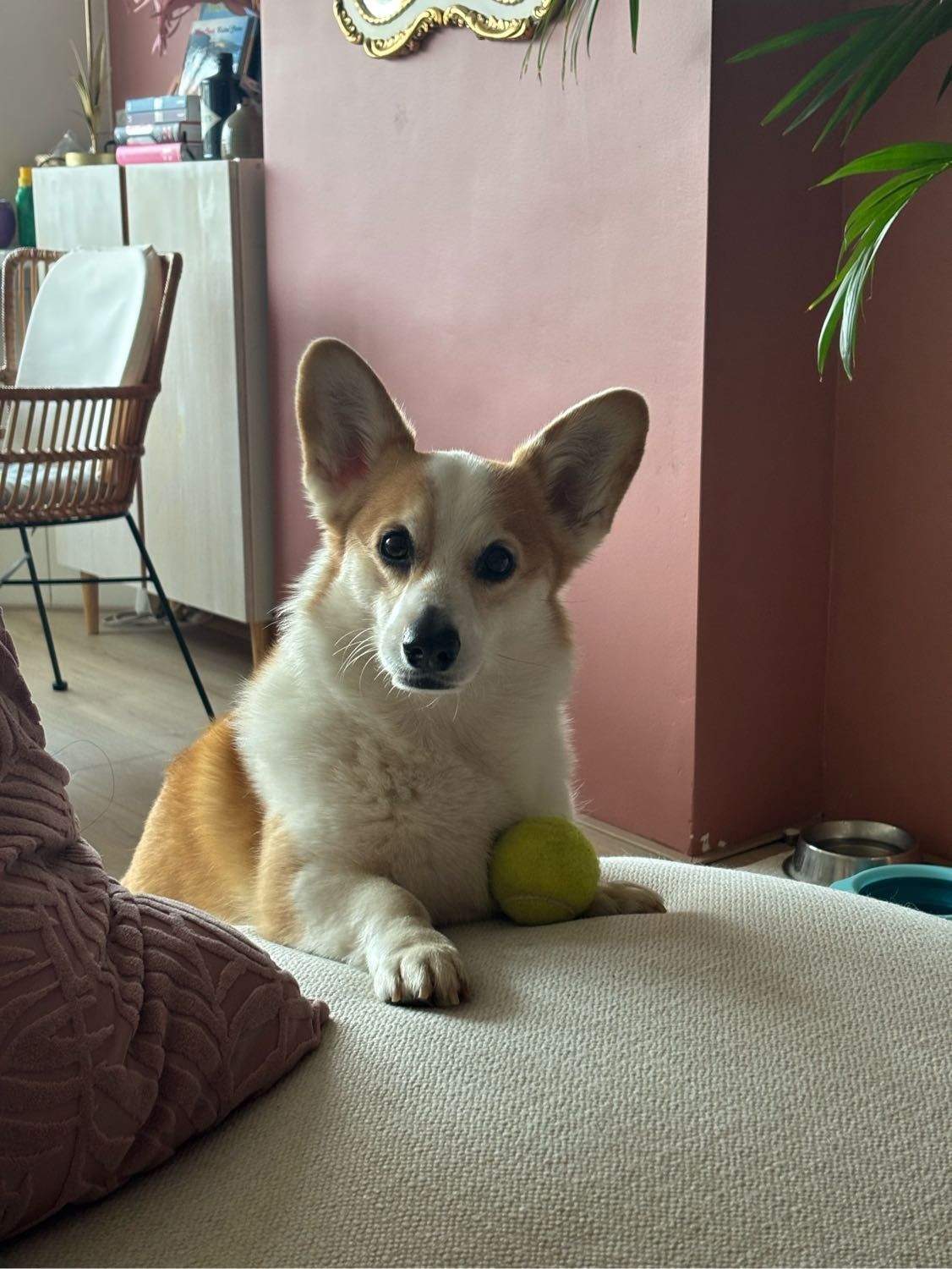 image-10
