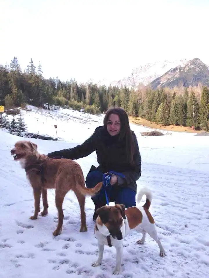 image-7