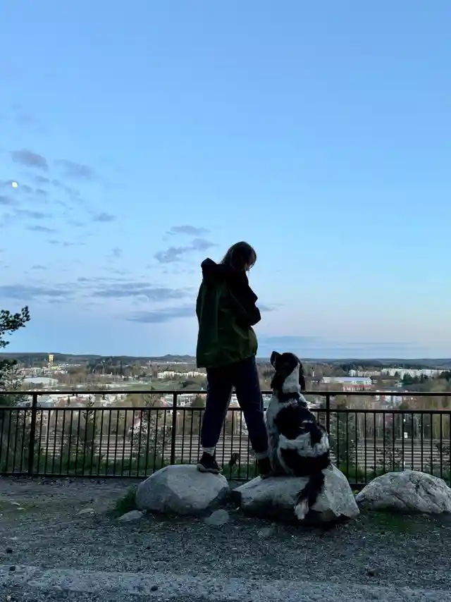 image-5