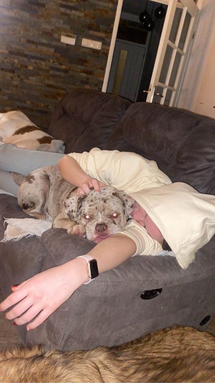 image-8