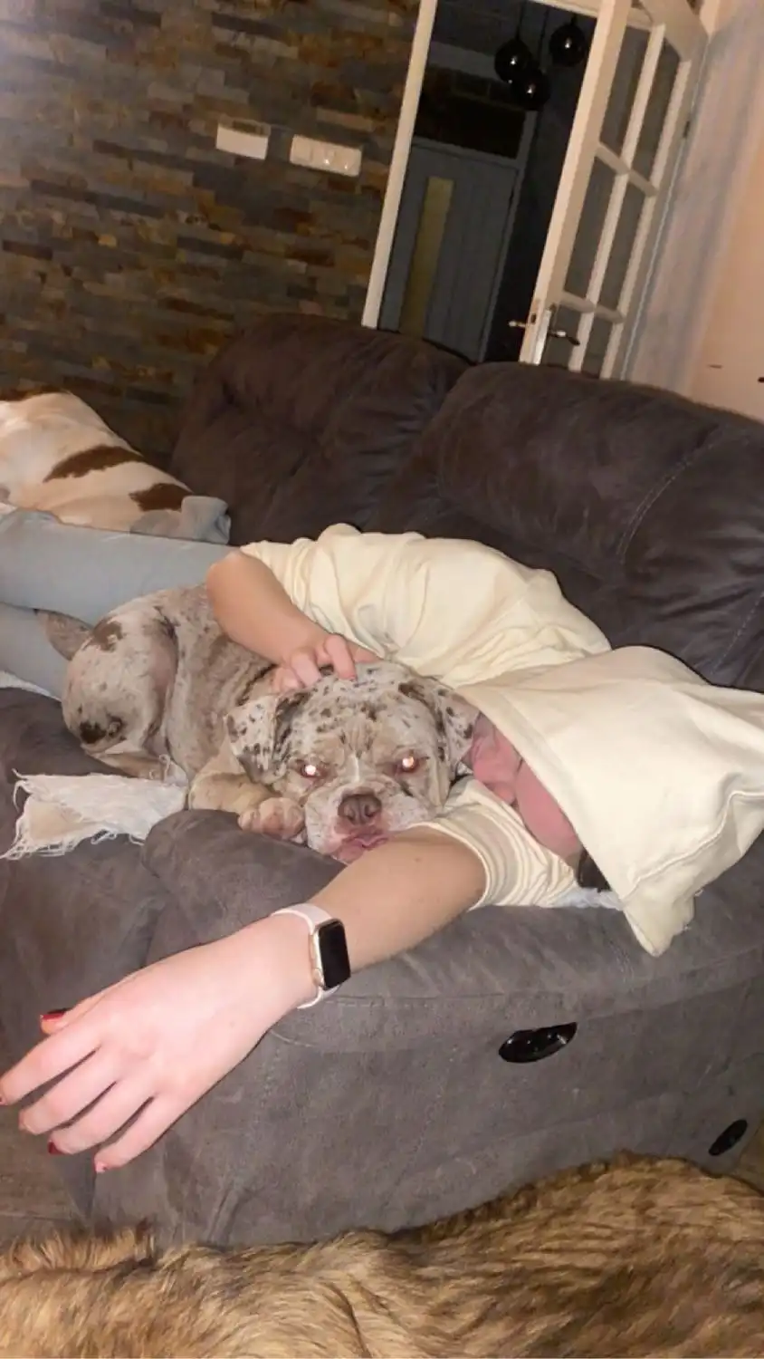 image-8
